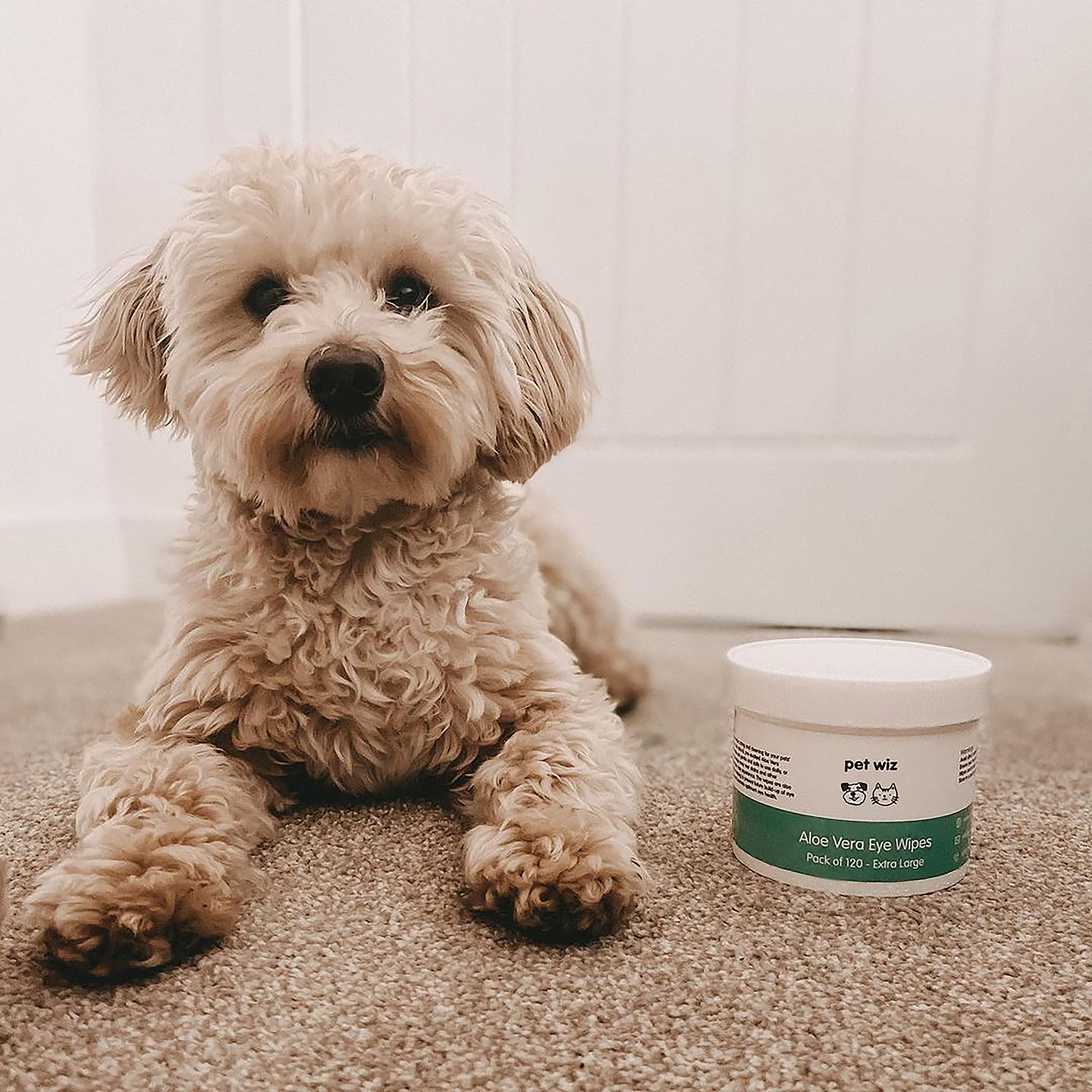 pet wiz Vet Approved Natural Eye Wipes for Dogs - 120 Extra Large Soothing Pads 7