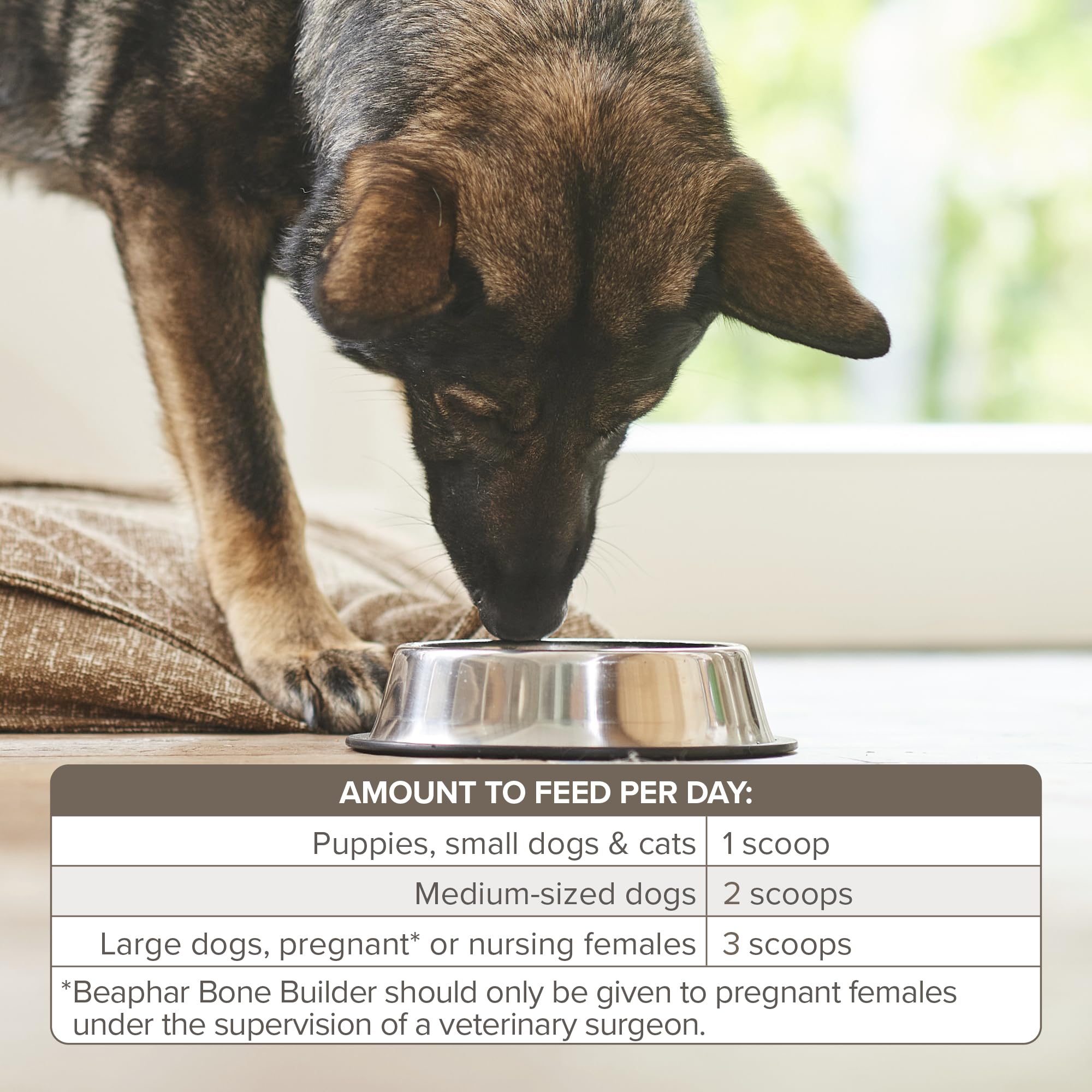Beaphar Bone Builder Nutritional Powder Supplement for Cats & Dogs Fed Home Diets 500g 5