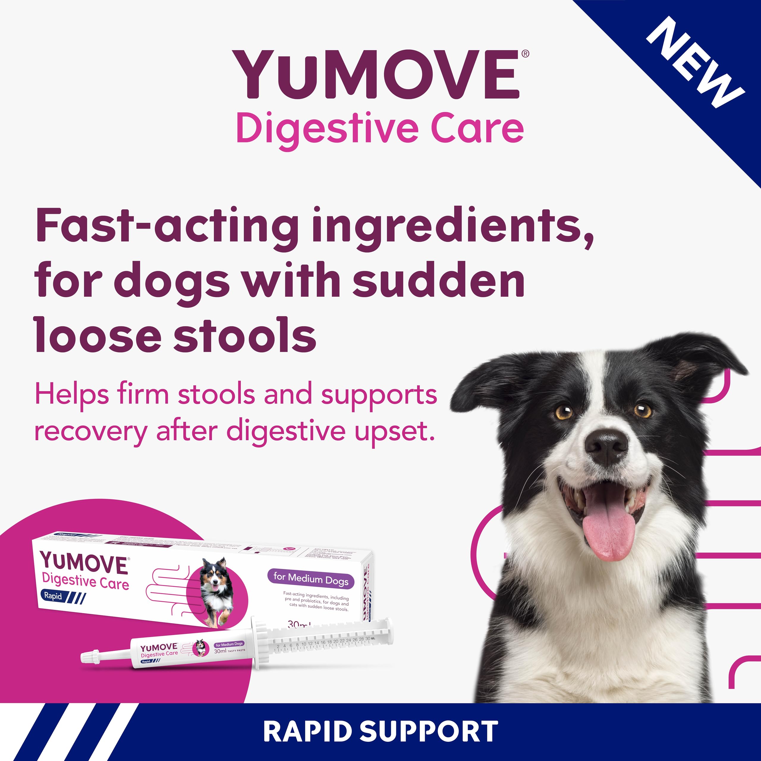 YuMOVE Digestive Care Rapid Dog Pre and Probiotic Paste for Gut Health | 2 Pack | 60ml Total 2