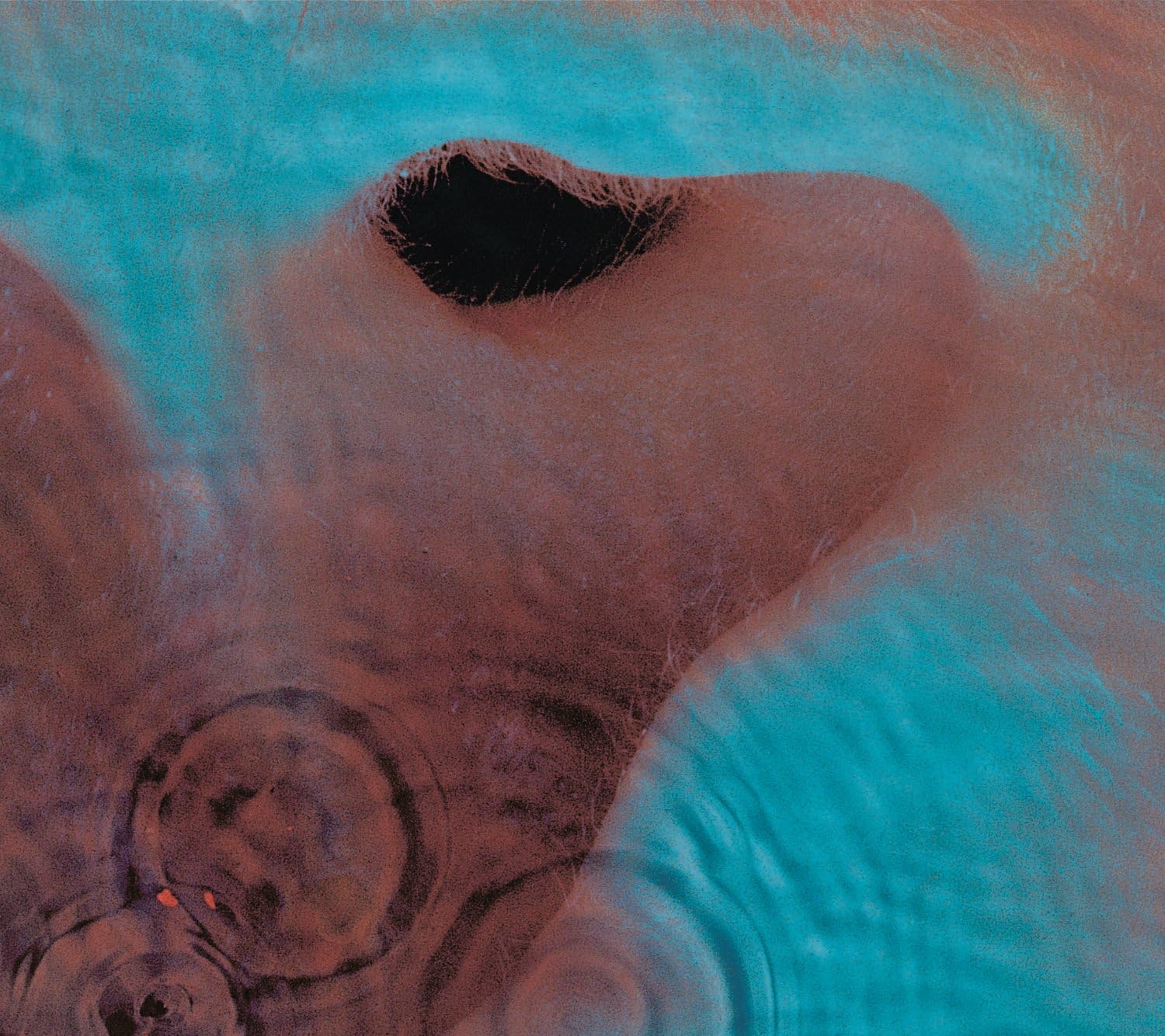Pink Floyd - Meddle [VINYL] 1