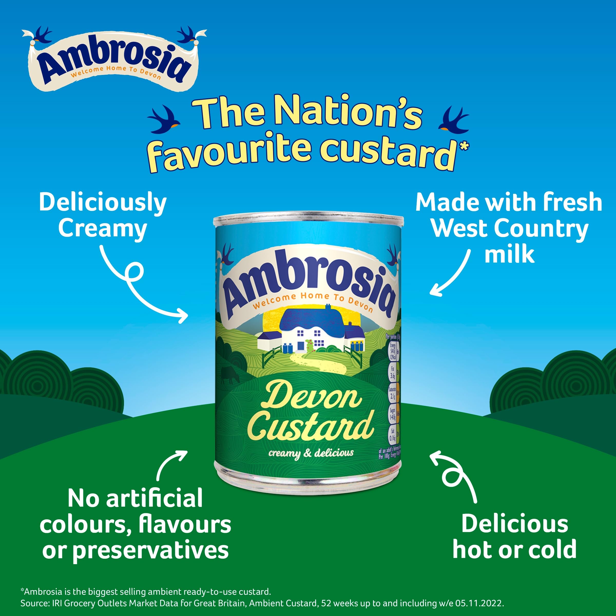 Ambrosia Devon Custard - Creamy Traditional Ready-to-Eat Dessert | 400g Can (Pack of 12) 4