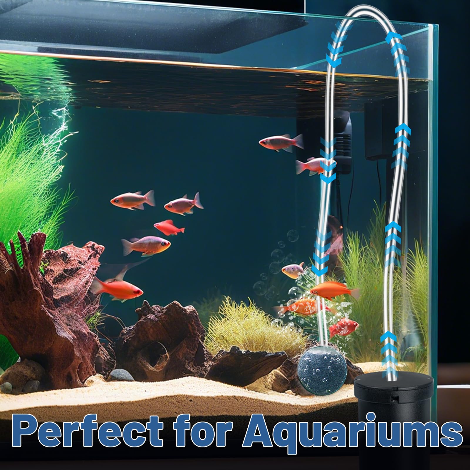 MOXYOY Aquarium Airline Tubing - 2 Meter Standard 4-6mm Flexible PVC Hose | Kink-Resist 4