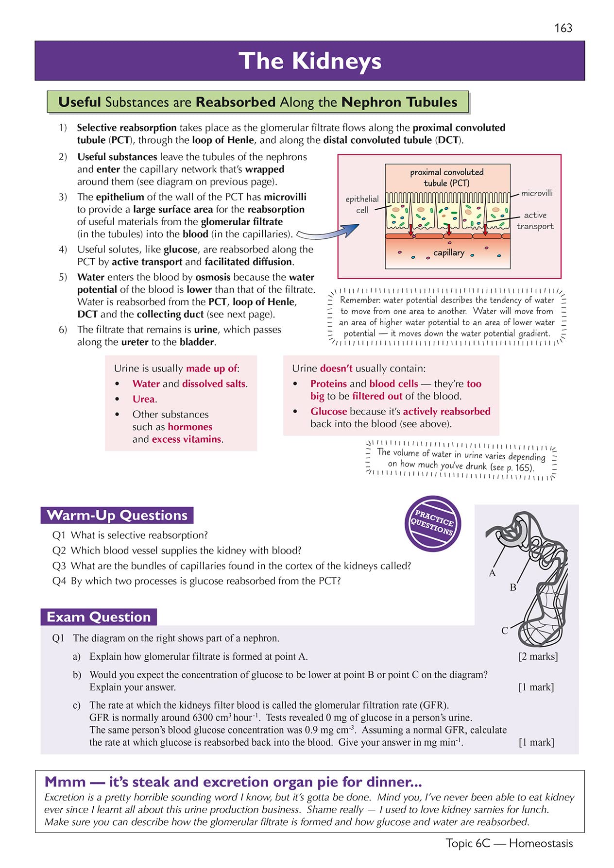 CGP A-Level Biology: AQA Year 1 & 2 Complete Revision & Practice with Online Edition | Paperback | 272 Pages 9