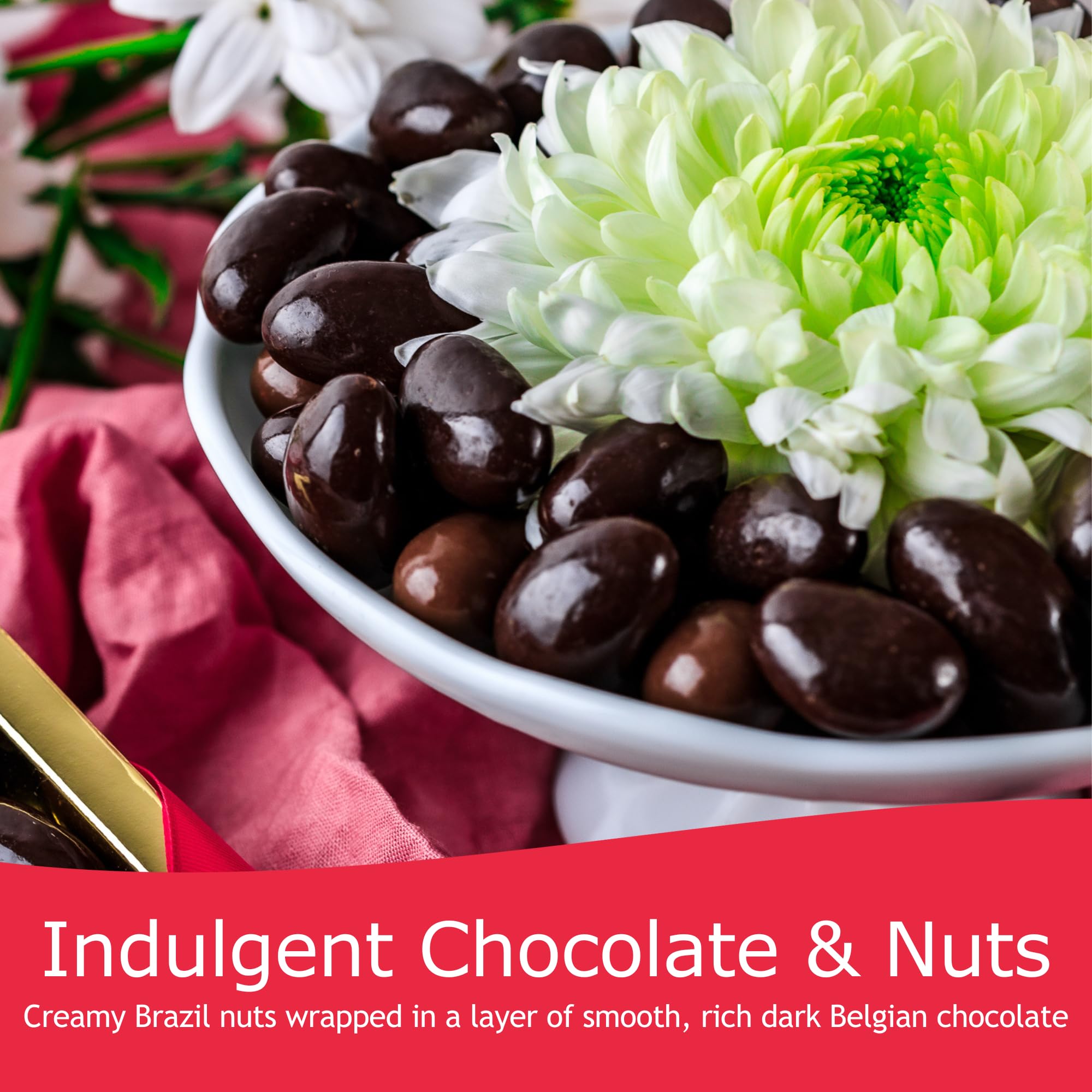 Rita Farhi Dark Chocolate Covered Brazil Nuts Gift Jar - Vegetarian, Palm Oil Free | 740g