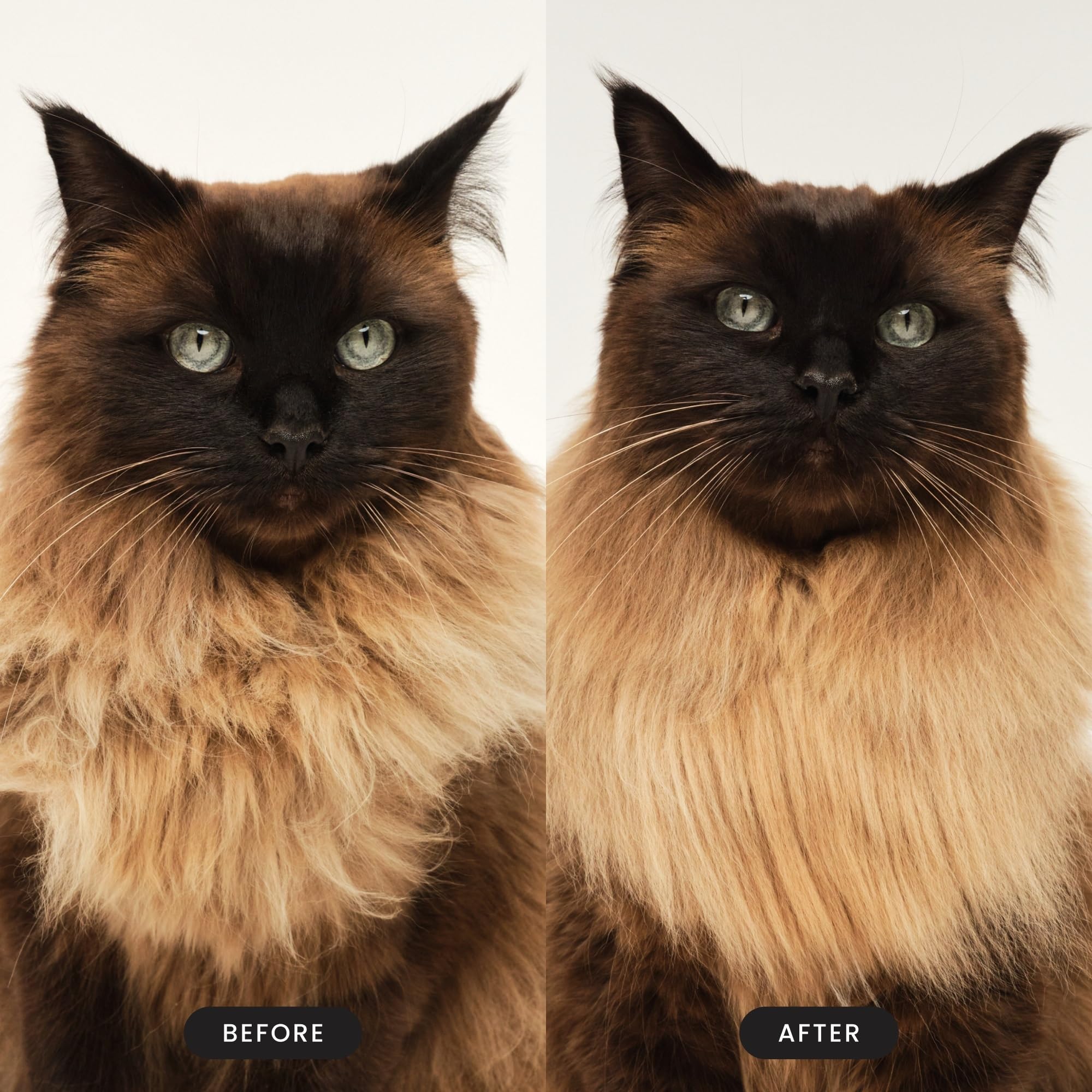 Tangle Teezer Pet Teezer Cat Brush - For Short to Medium Fur | Pink 5