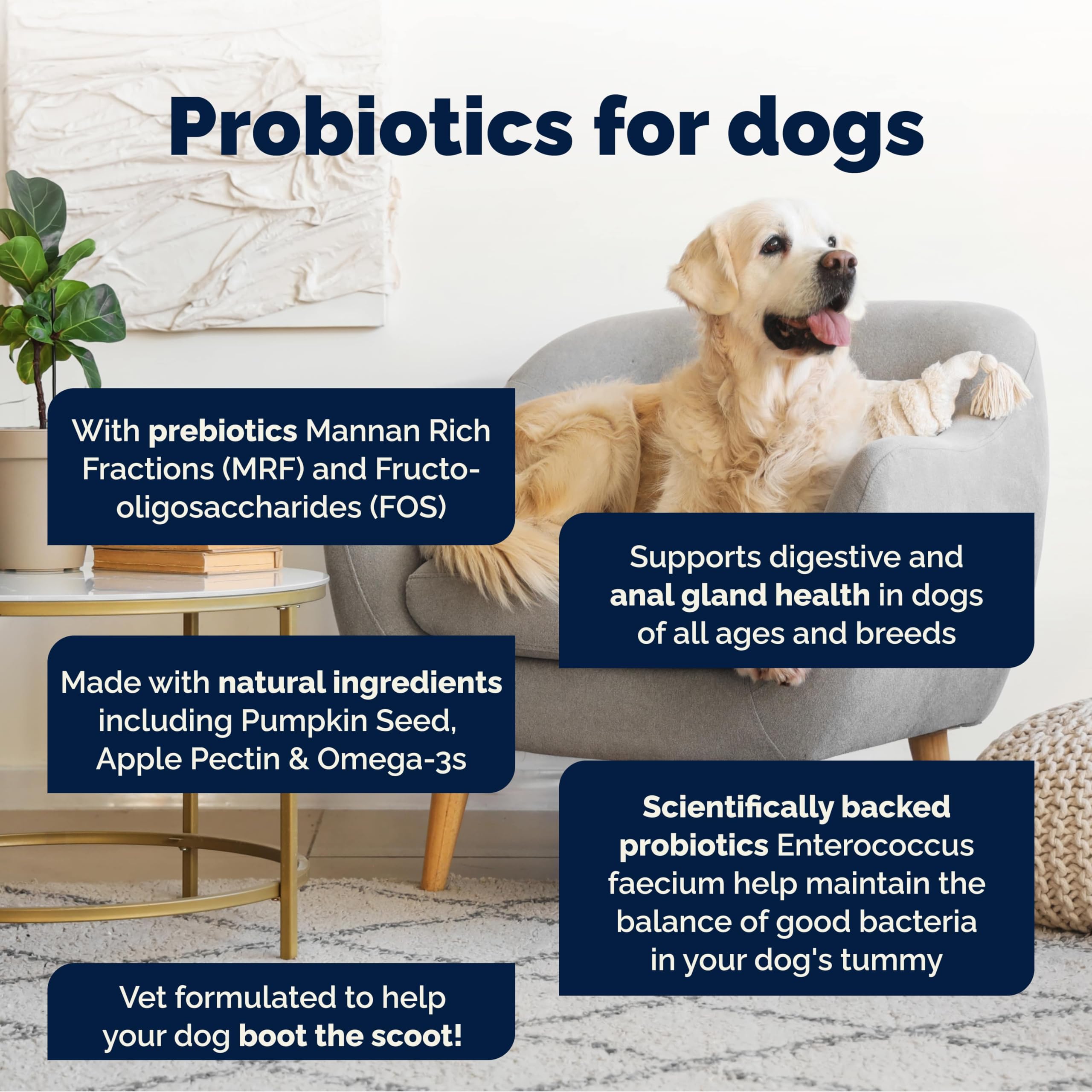 Vetnique Glandex For Dogs UK - 120 Soft Chews | Anal Gland Support & Digestive Health 2