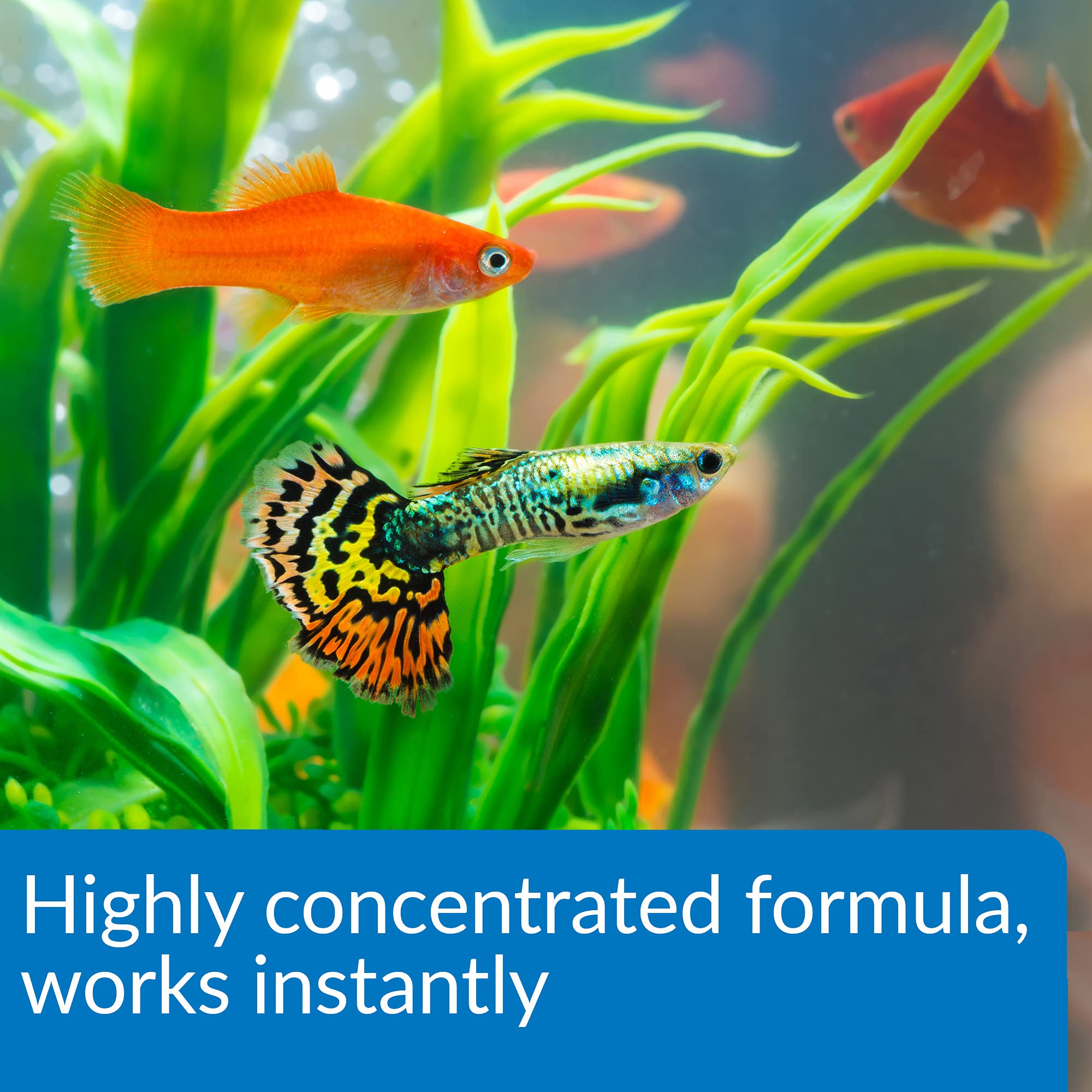API Aqua Essential Water Conditioner - Instant Chemical Removal | Treats 2,370 Gallons | 237 ml Liquid 4