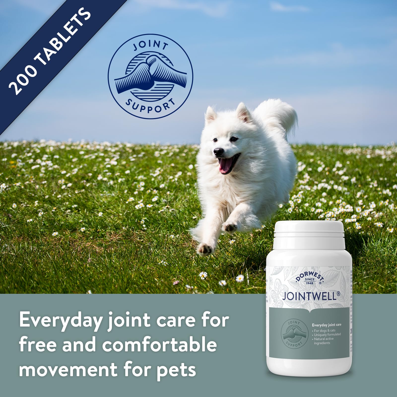 DORWEST HERBS JointWell - Natural Hip & Joint Care Supplement for Dogs & Cats | 200 Tablets 2