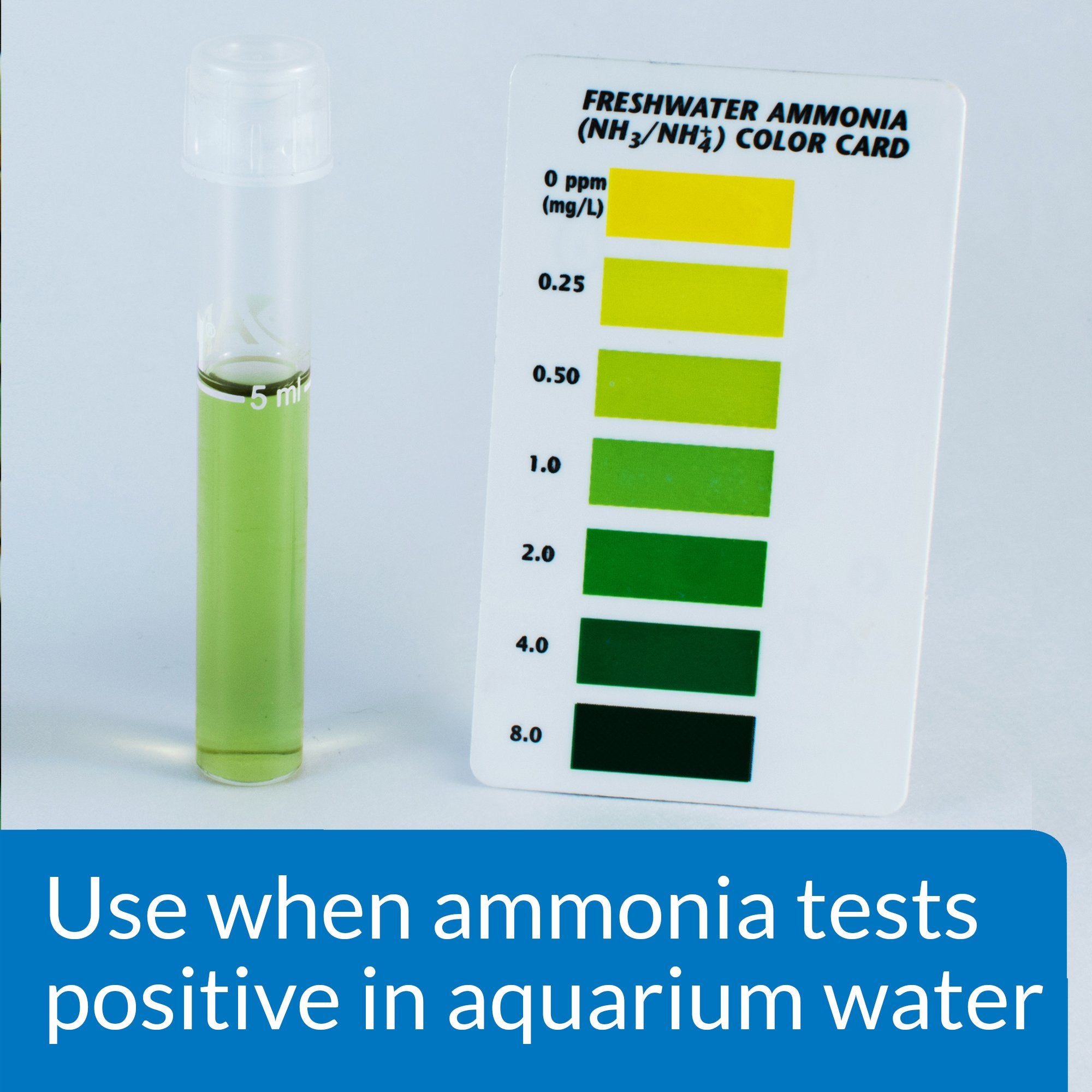 API AMMO-LOCK Ammonia Detoxifier for Freshwater & Saltwater Aquariums - 473 ml Liquid