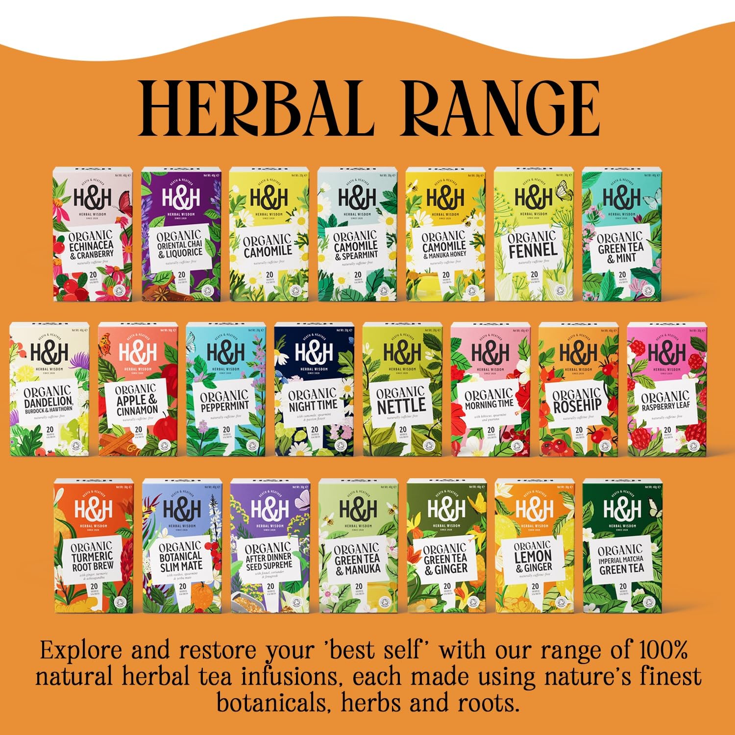 Heath & Heather Organic Rosehip Tea - Immune Support & Tart Fruity Infusion | 20 Count 6