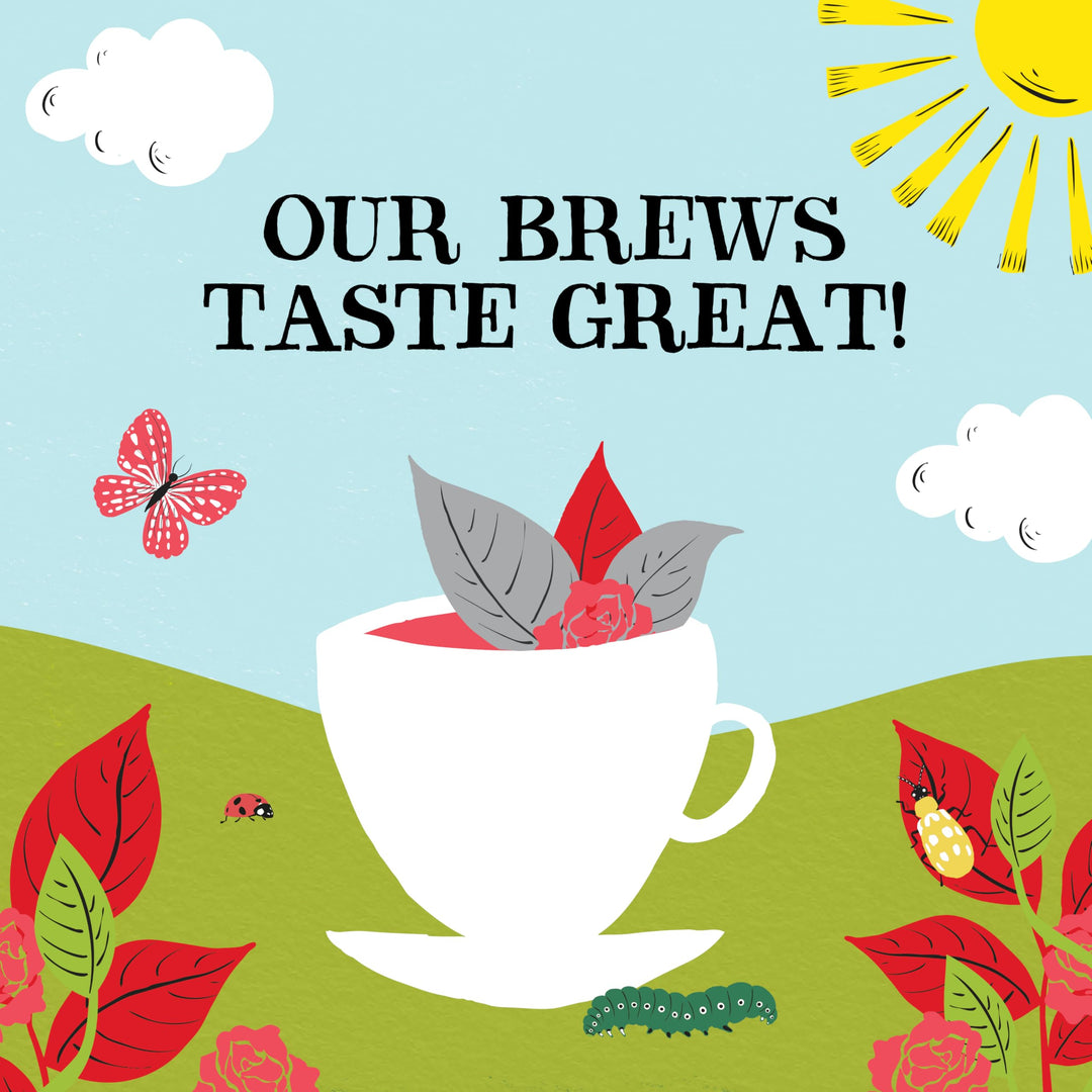 Clipper - Organic English Breakfast Tea Bags 250 Individually Wrapped