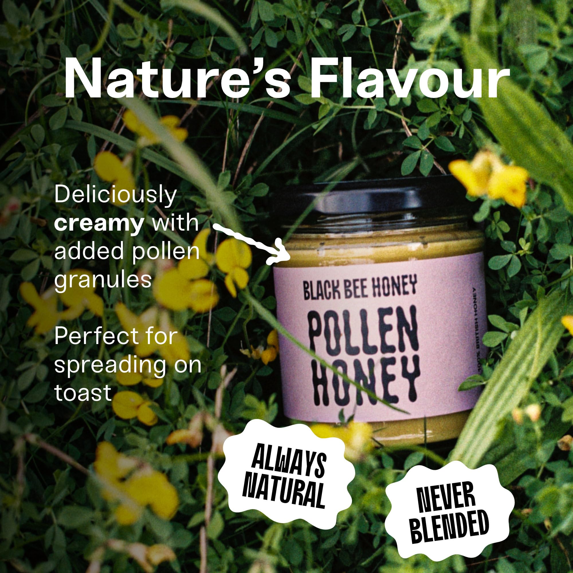 Black Bee Honey - Pure British Spring Honey with Bee Pollen Granules | 227g 3