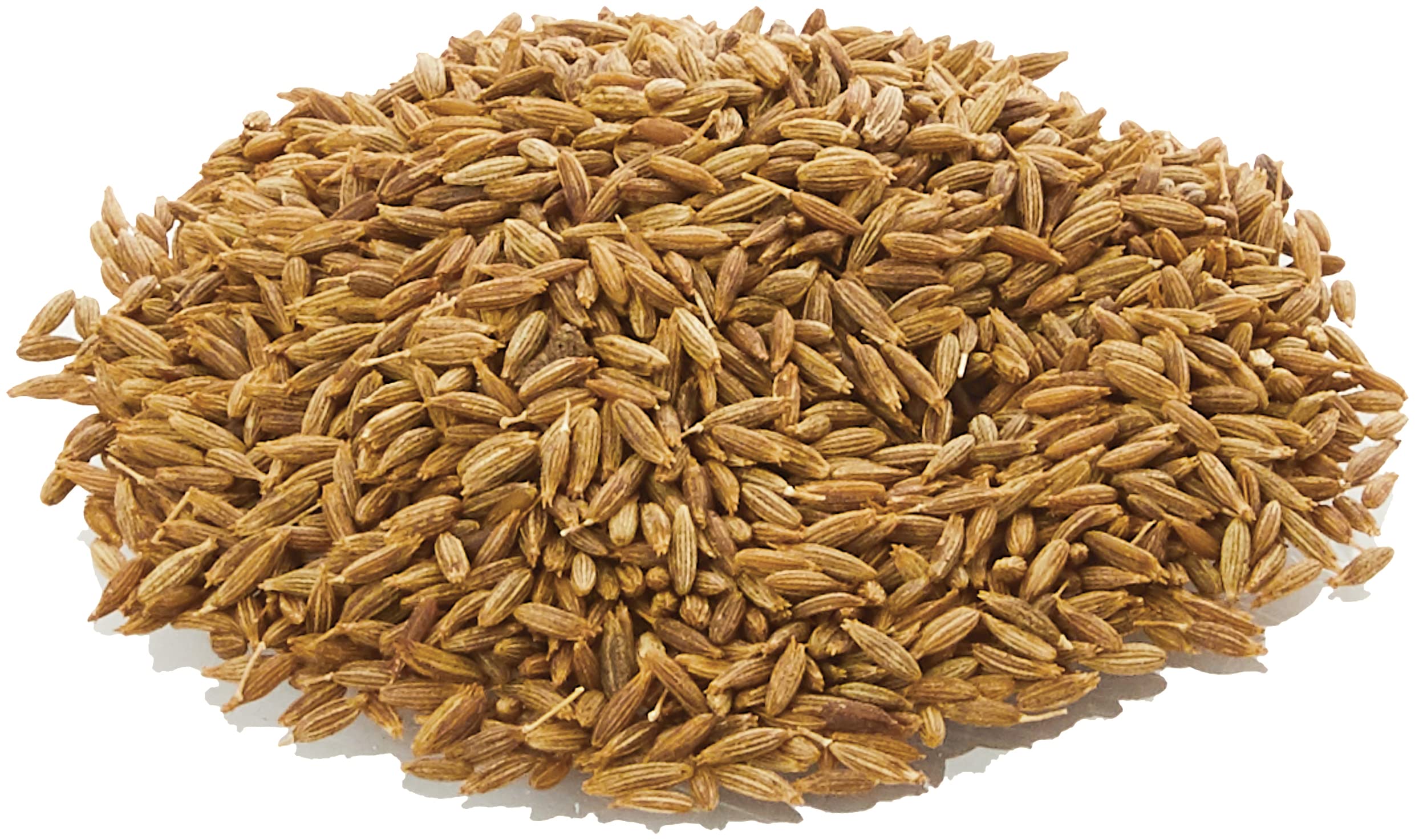Old India Cumin Seeds, Roasted | 250g Natural Whole Spice 3
