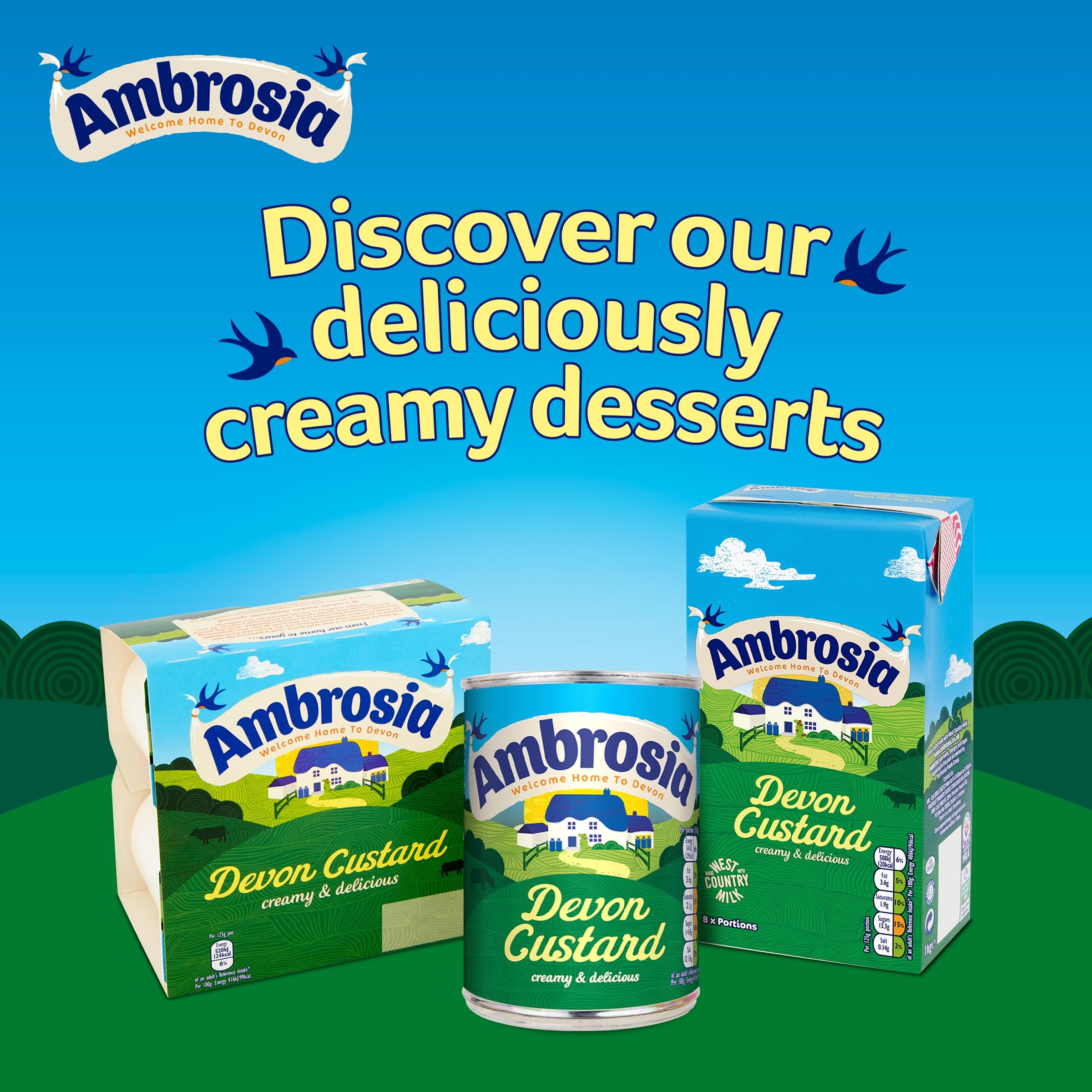 Ambrosia Devon Custard - Creamy Traditional Ready-to-Eat Dessert | 400g Can (Pack of 12) 5