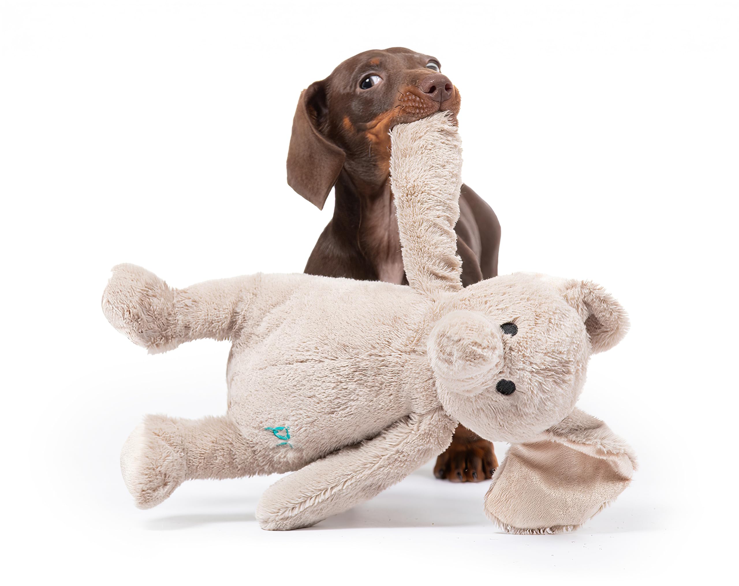 Petface Betty Elephant Plush Dog Toy - Lightweight & Durable | Small Breeds 7