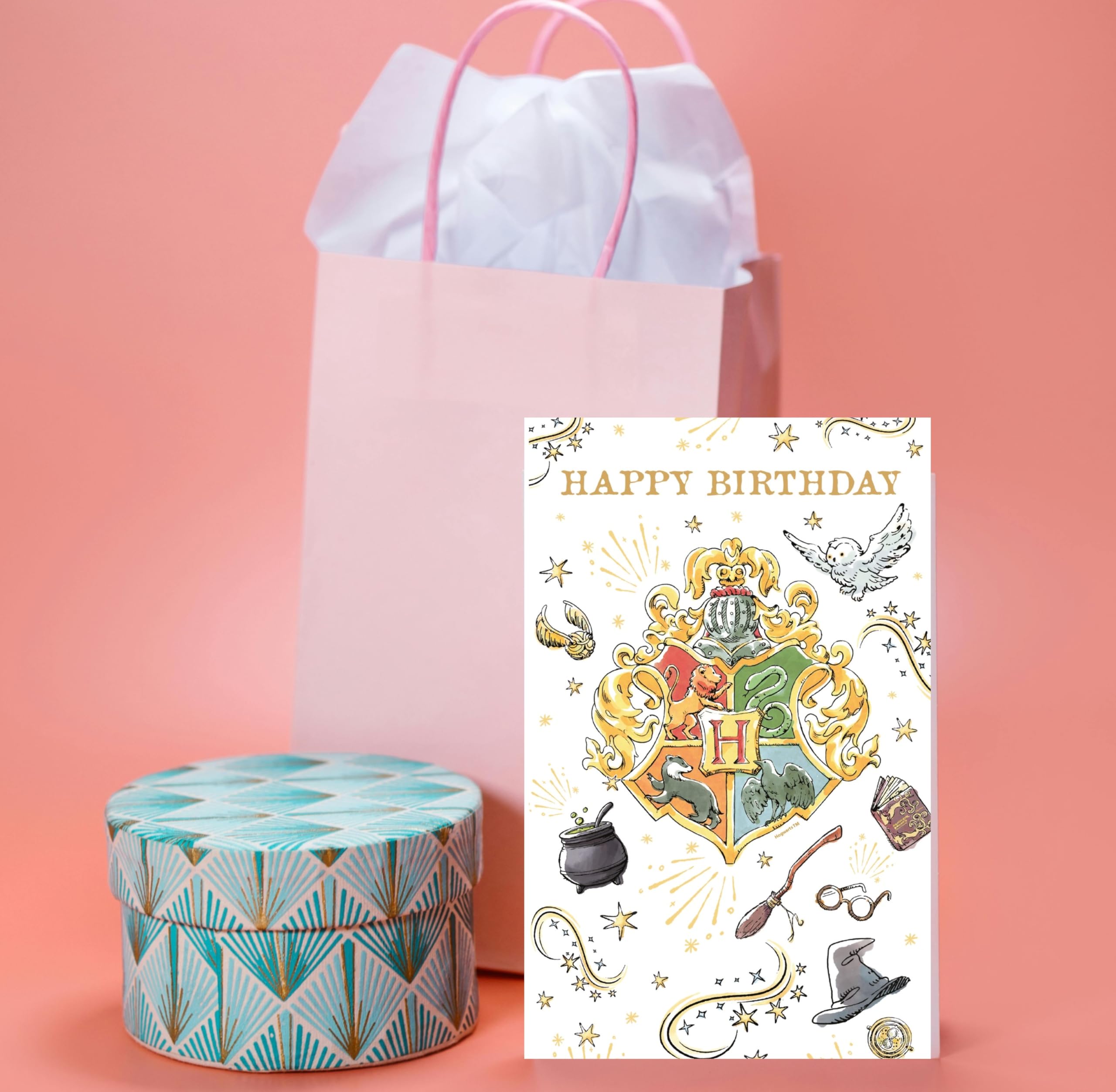 Danilo Promotions Ltd Official Harry Potter Birthday Card | Multi Color | 235x127x3mm 3