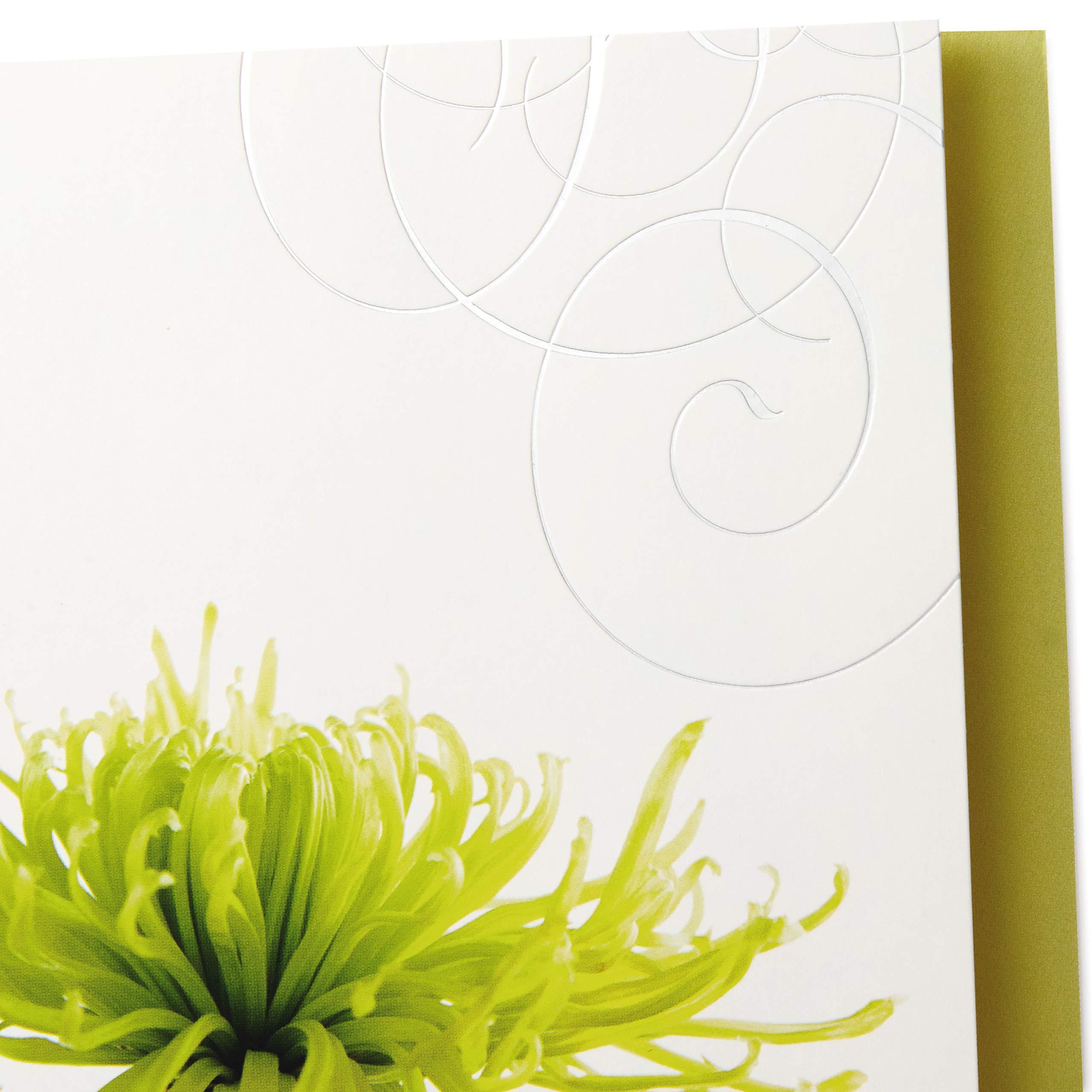 Hallmark Sympathy Greeting Cards Assorted Pack - 12 Cards with Envelopes | FSC Certified 7
