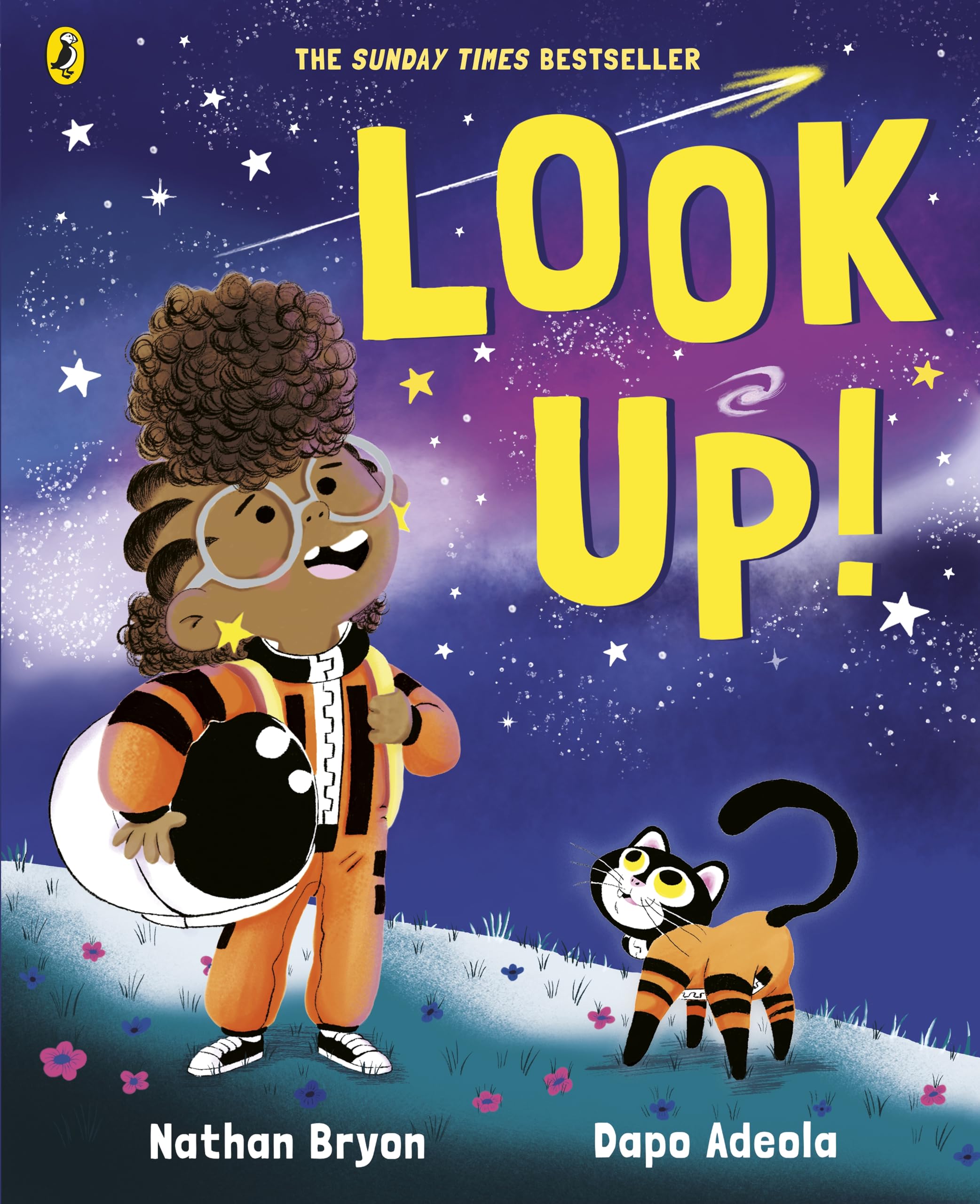 Puffin Look Up! Picture Book by Nathan Bryon & Dapo Adeola | Ages 3-6