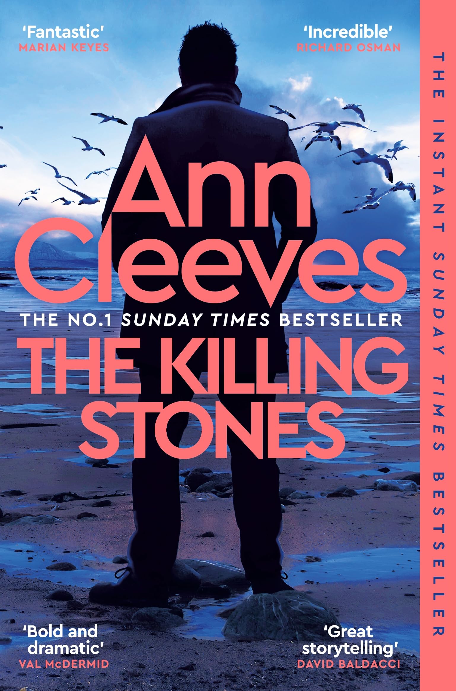 Pan The Killing Stones: Detective Jimmy Perez Mystery | Paperback | English