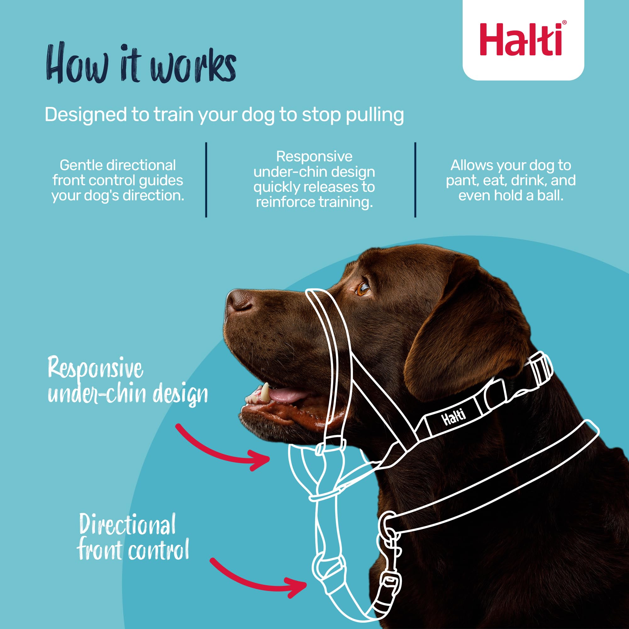 Halti Headcollar for Dogs - Stops Pulling | Size 2, Pink 2