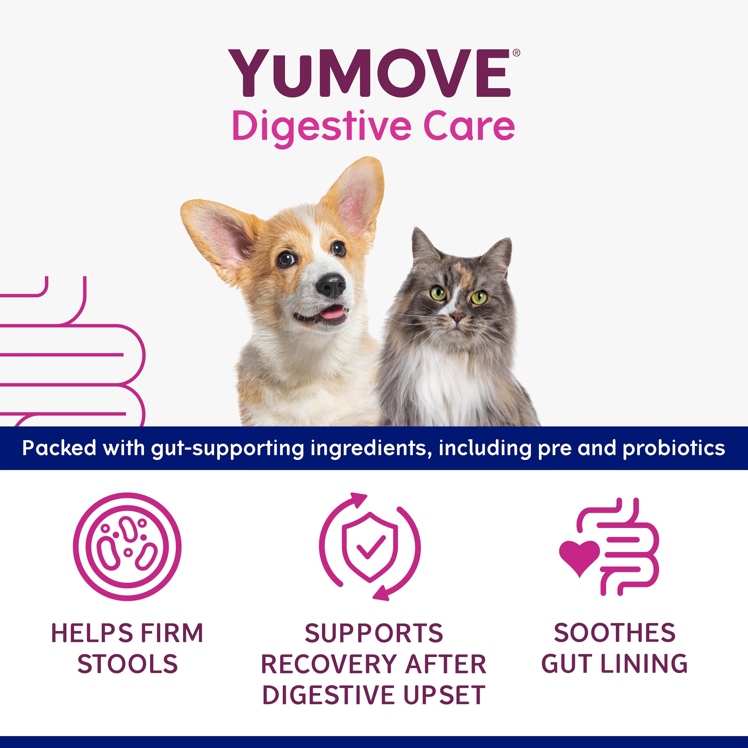 YuMOVE Digestive Care Rapid Probiotic Paste for Dogs & Cats - Fast-Acting Gut Support | 15ml 3
