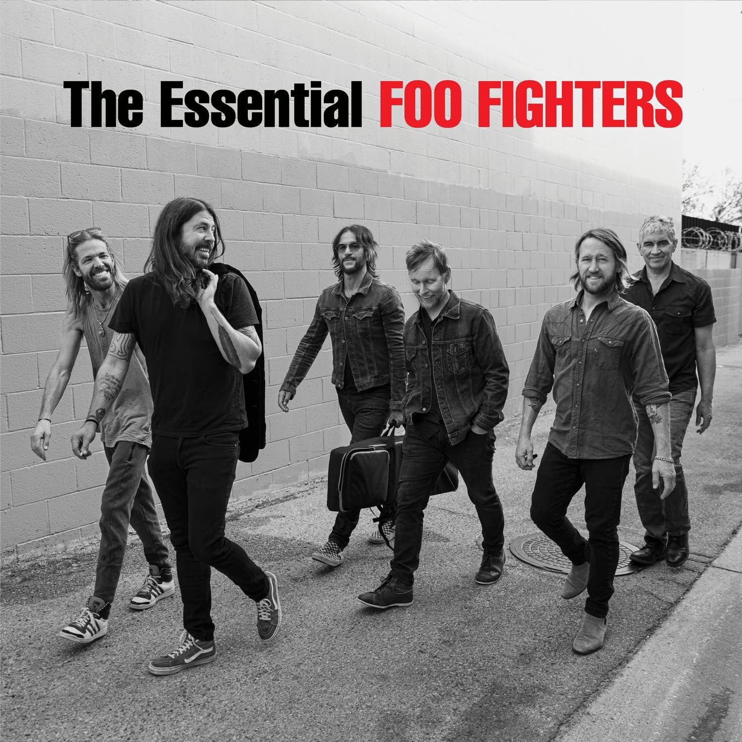 Foo Fighters - The Essential Foo Fighters [VINYL] 1