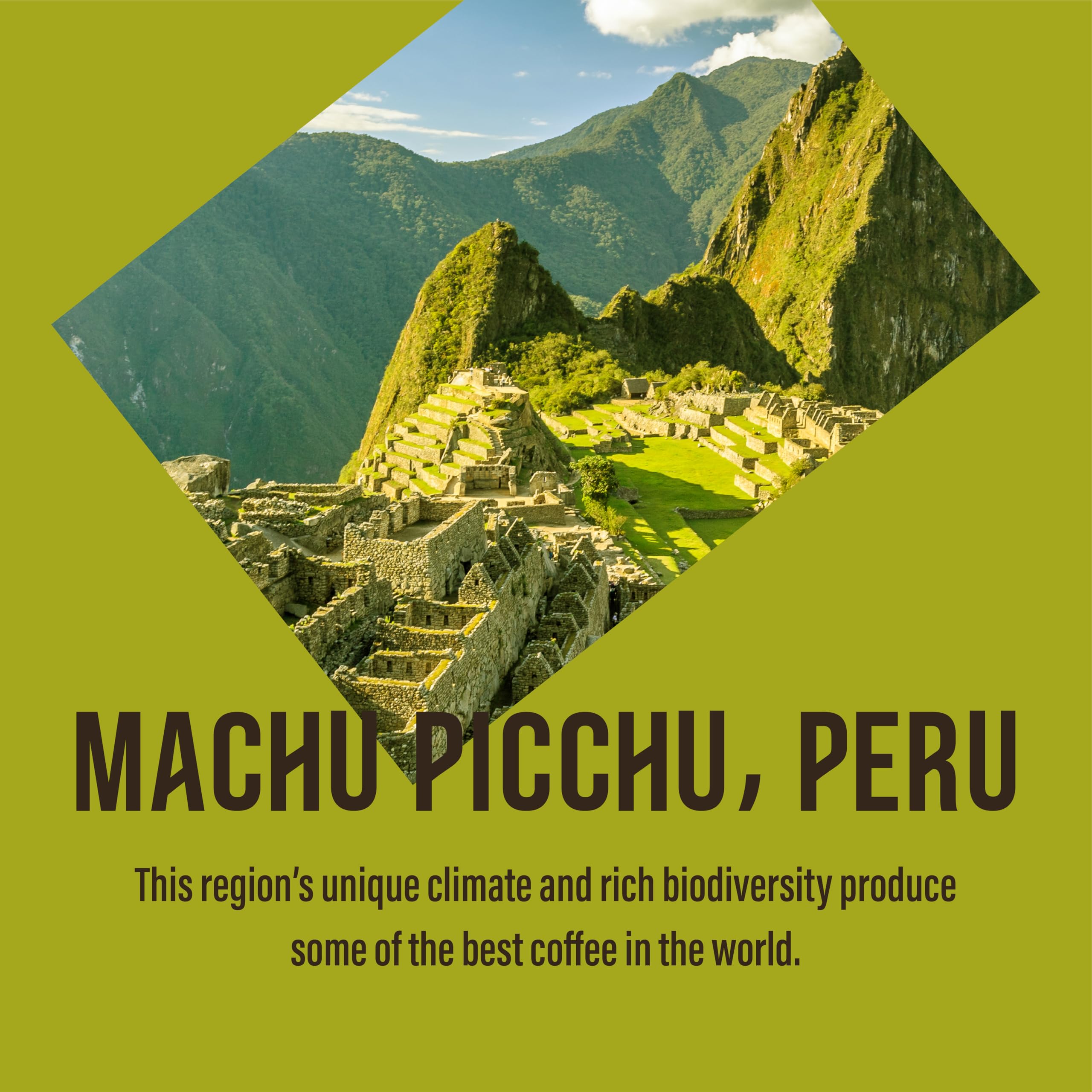 Cafédirect Machu Picchu Organic Fairtrade Ground Arabica Coffee 227g (Pack of 6) 9