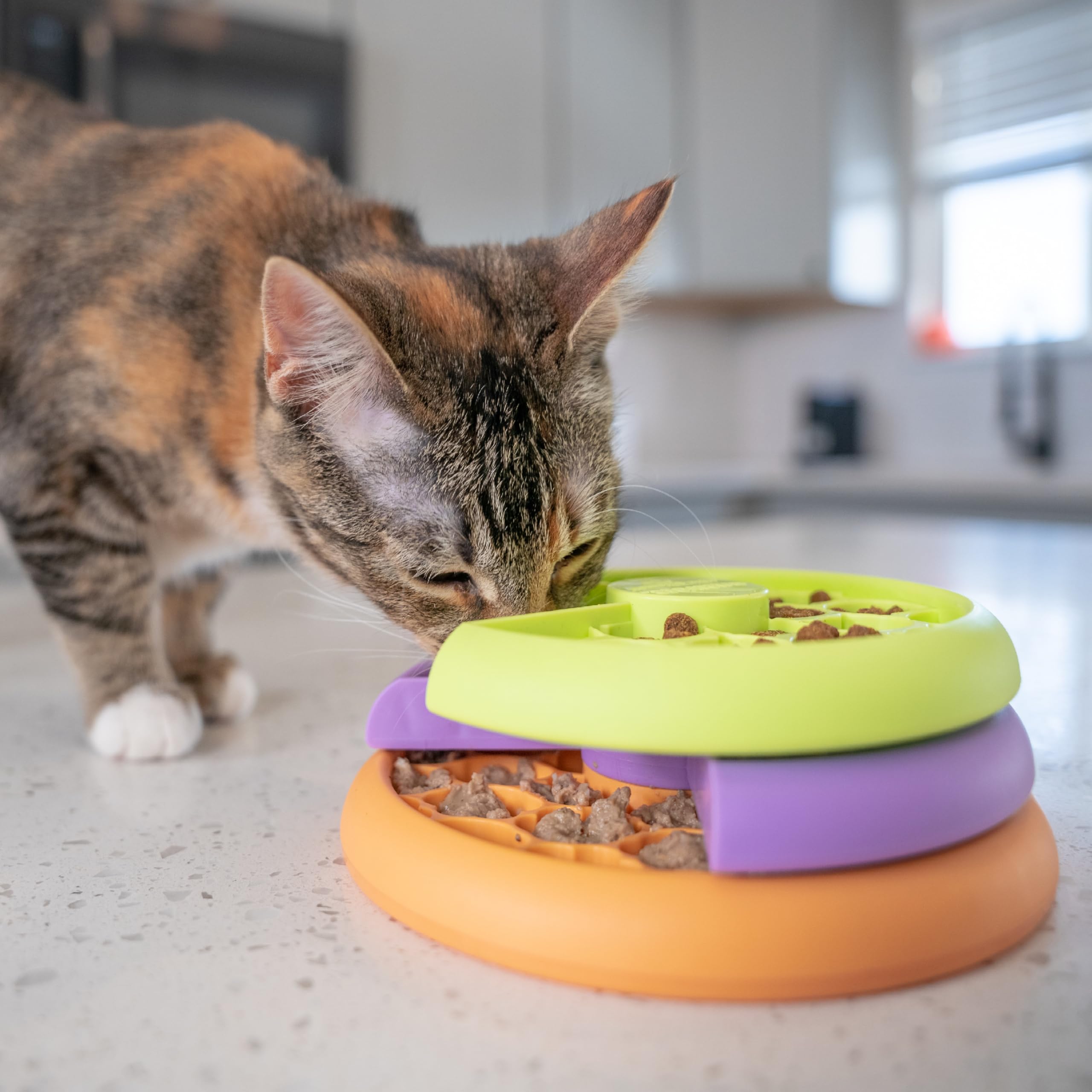 Catstages Nina Ottosson Slow Feeder Cat Bowl - Intermediate Puzzle Feeder | 80 Compartments | Plastic
