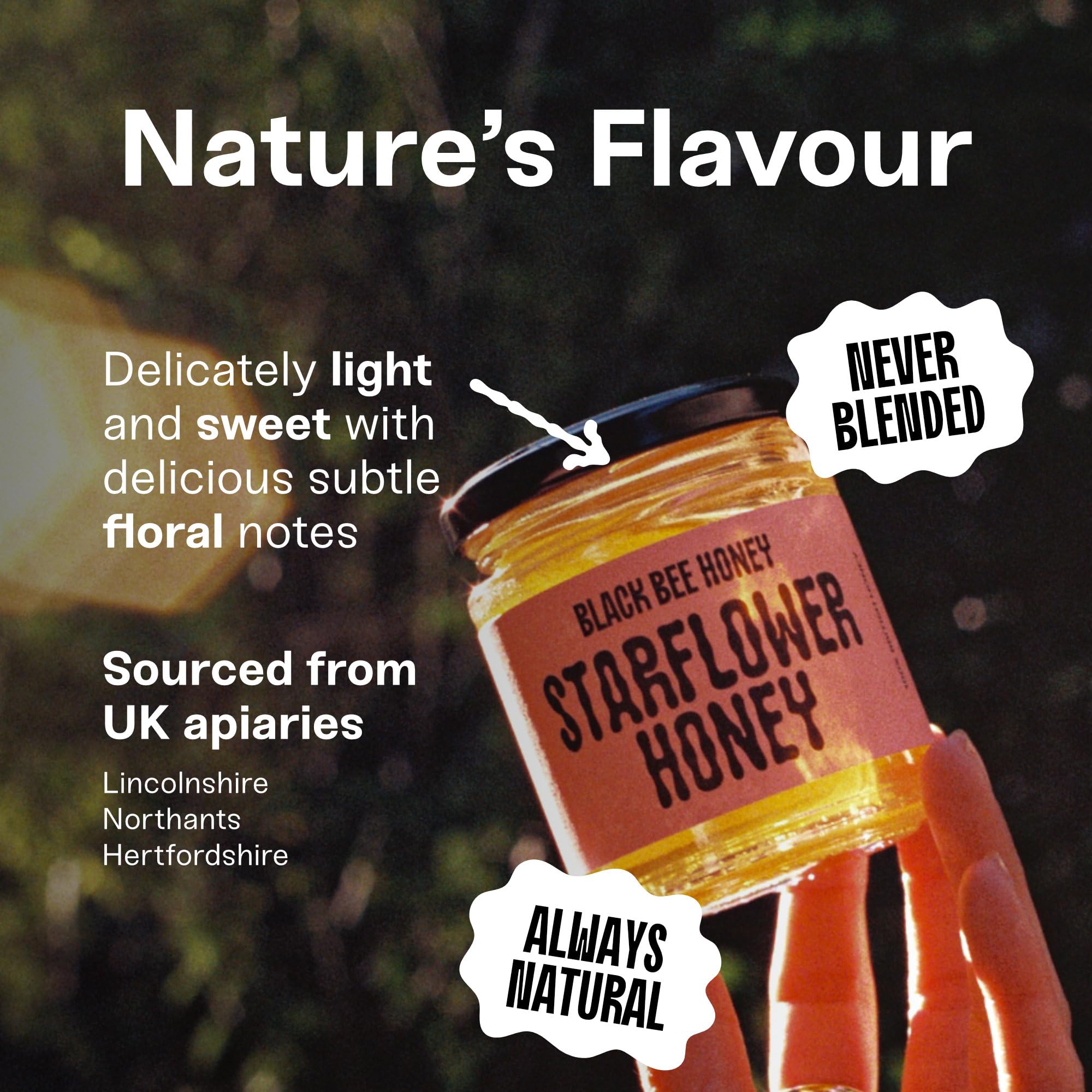 Black Bee Honey Starflower Honey Pure British Borage Light Sweet & Floral 227g 3