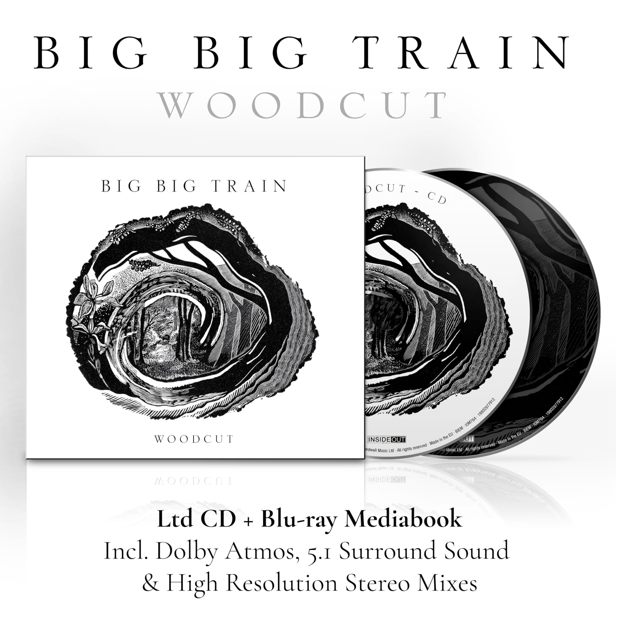 Big Big Train - Woodcut [Audio CD]