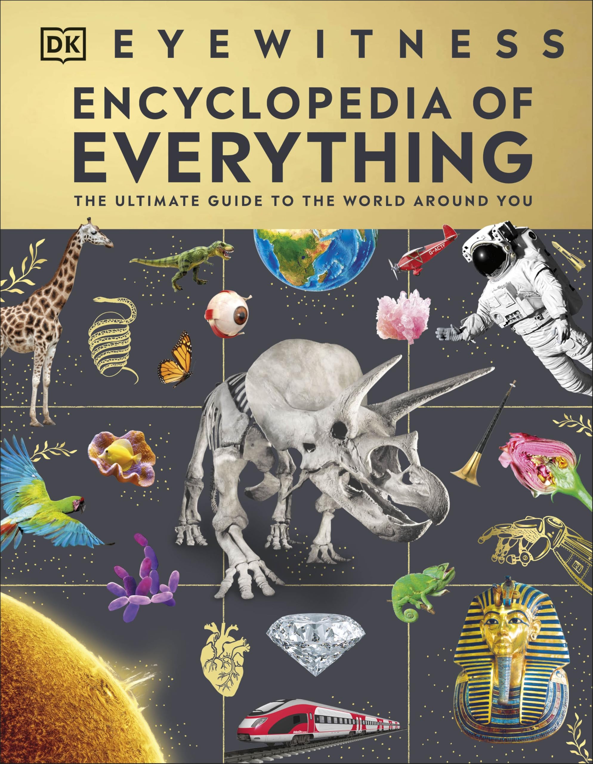 DK Eyewitness Encyclopedia of Everything - Ultimate Guide to the World | Hardcover