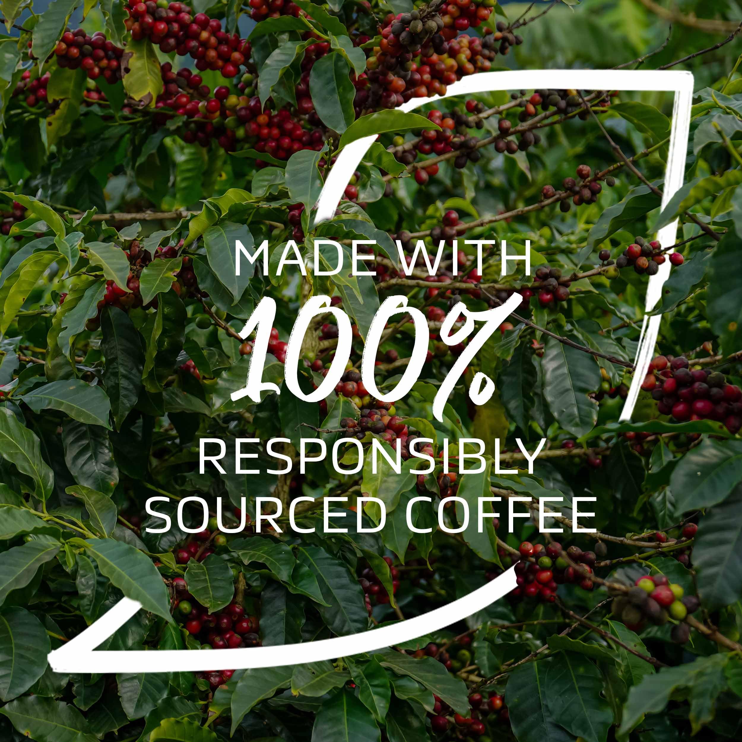 NESCAFÉ Iced Latte Salted Caramel Instant Coffee - 7 x 14.5g Sachets 5