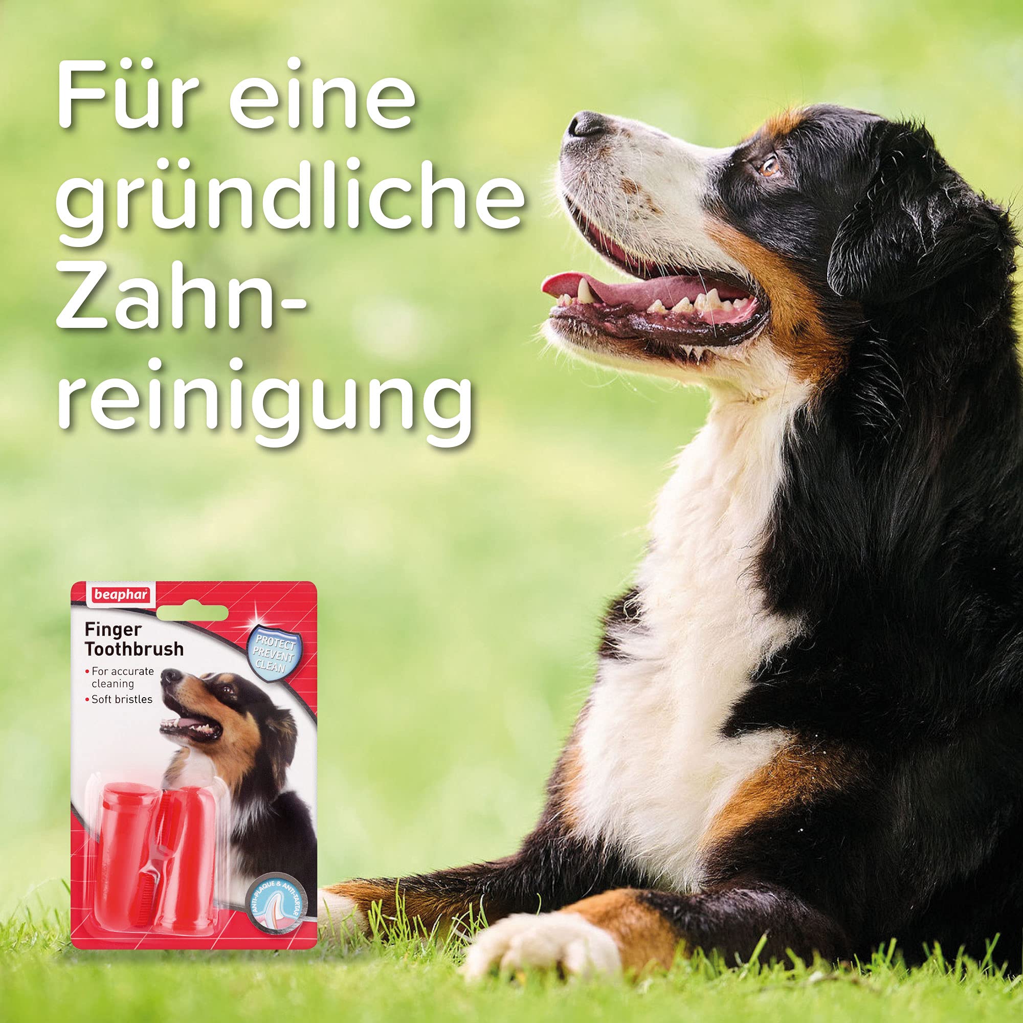 Beaphar Finger Toothbrush for Dogs and Cats - Gentle Cleaning, Red, 2 Count Pack 5