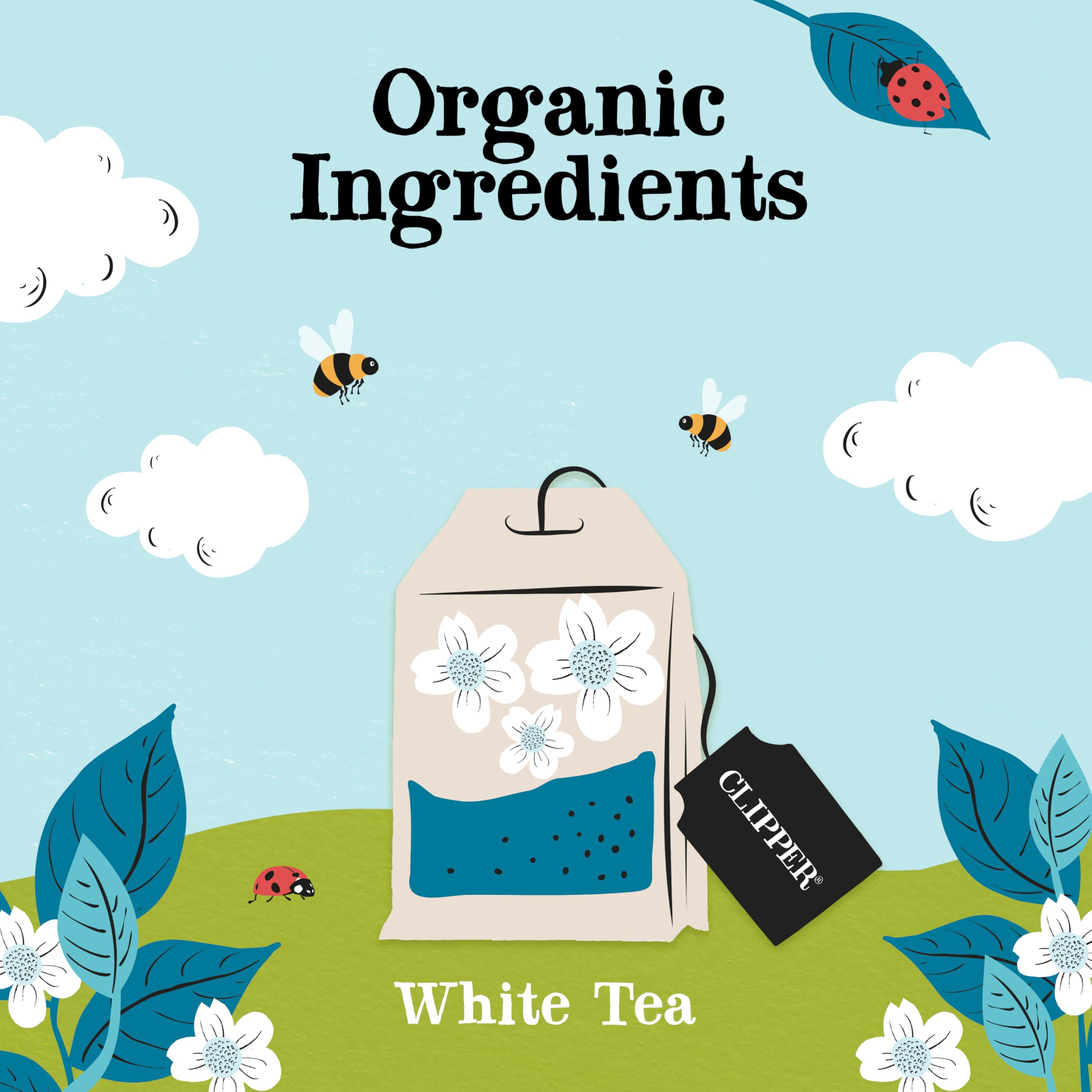 Clipper Organic White Tea Bags - 40 Count, Antioxidant Support | Plastic-Free Bags 3