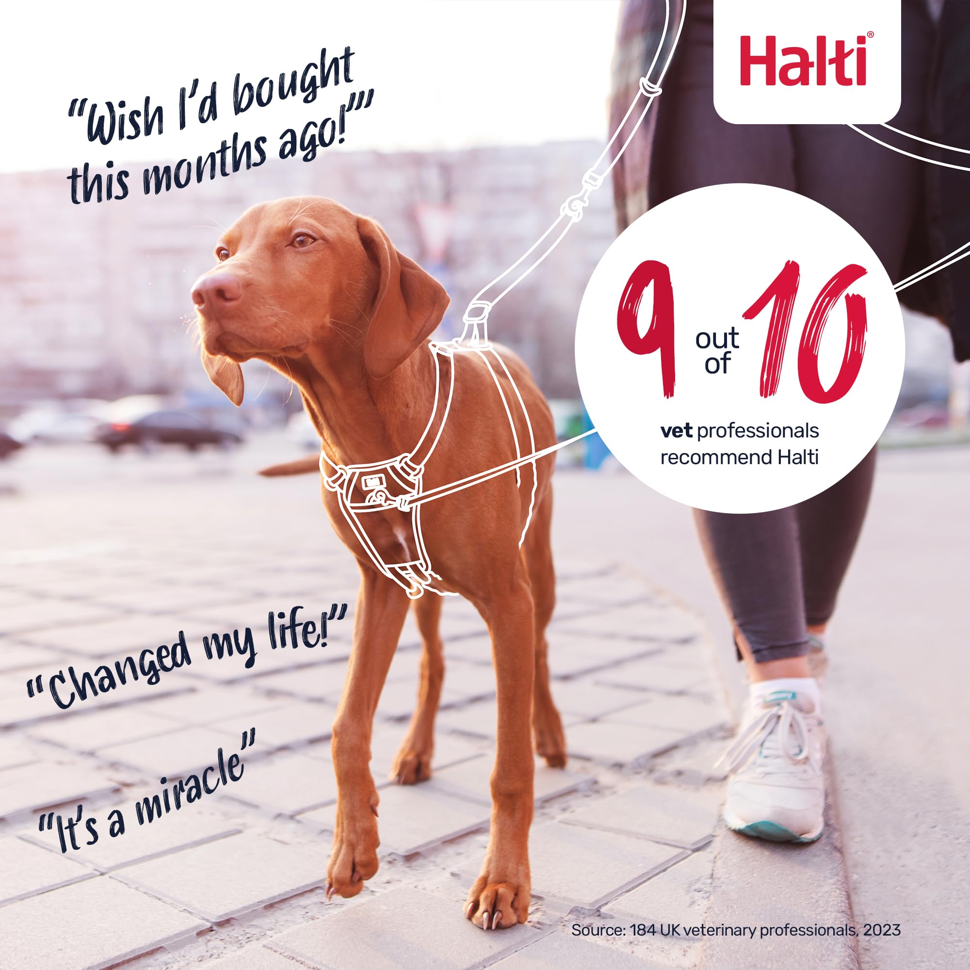 Halti No Pull Harness - Stops Leash Pulling | Adjustable | Size M | Dark Orange 6
