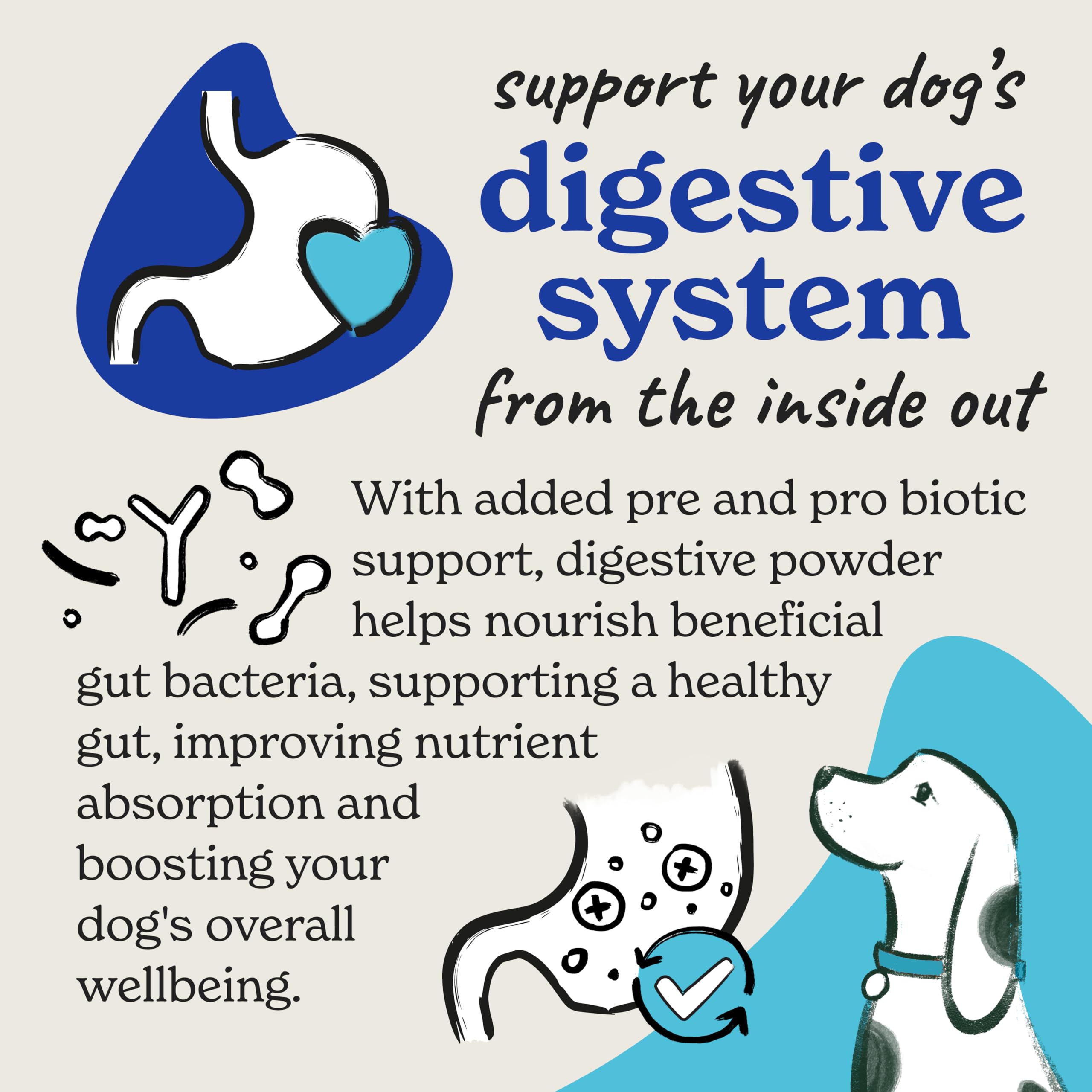 Forthglade Digestive Powder for Dogs - Pre & Probiotic Gut Support | 200g
