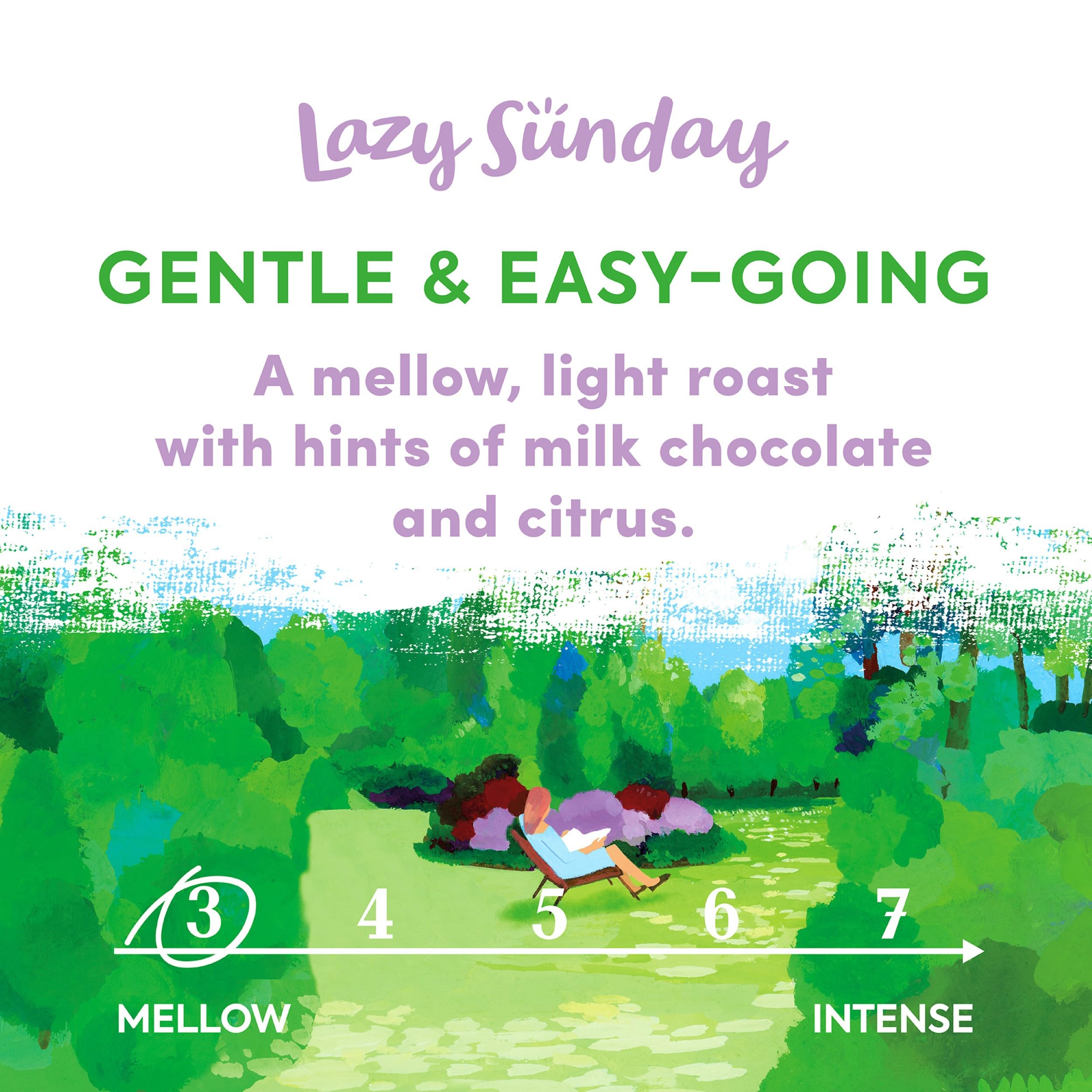 Taylors of Harrogate Lazy Sunday Ground Coffee - Smooth Milk Chocolate & Citrus Notes | 400g Pack of 3