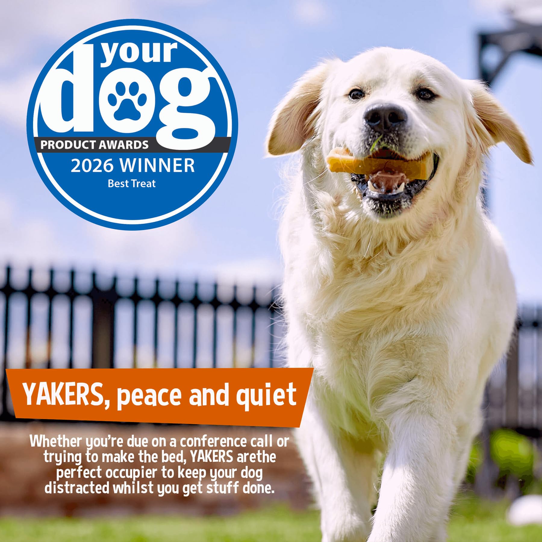 Yakers Blueberry Dog Chew - Medium Size | Protein & Calcium Rich | Promotes Dental Hygiene 6
