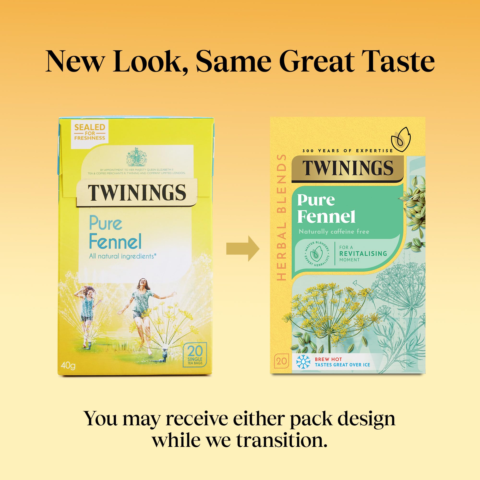 Twinings Pure Fennel Herbal Tea - Supports Digestion | 20 Tea Bags | 40g 2
