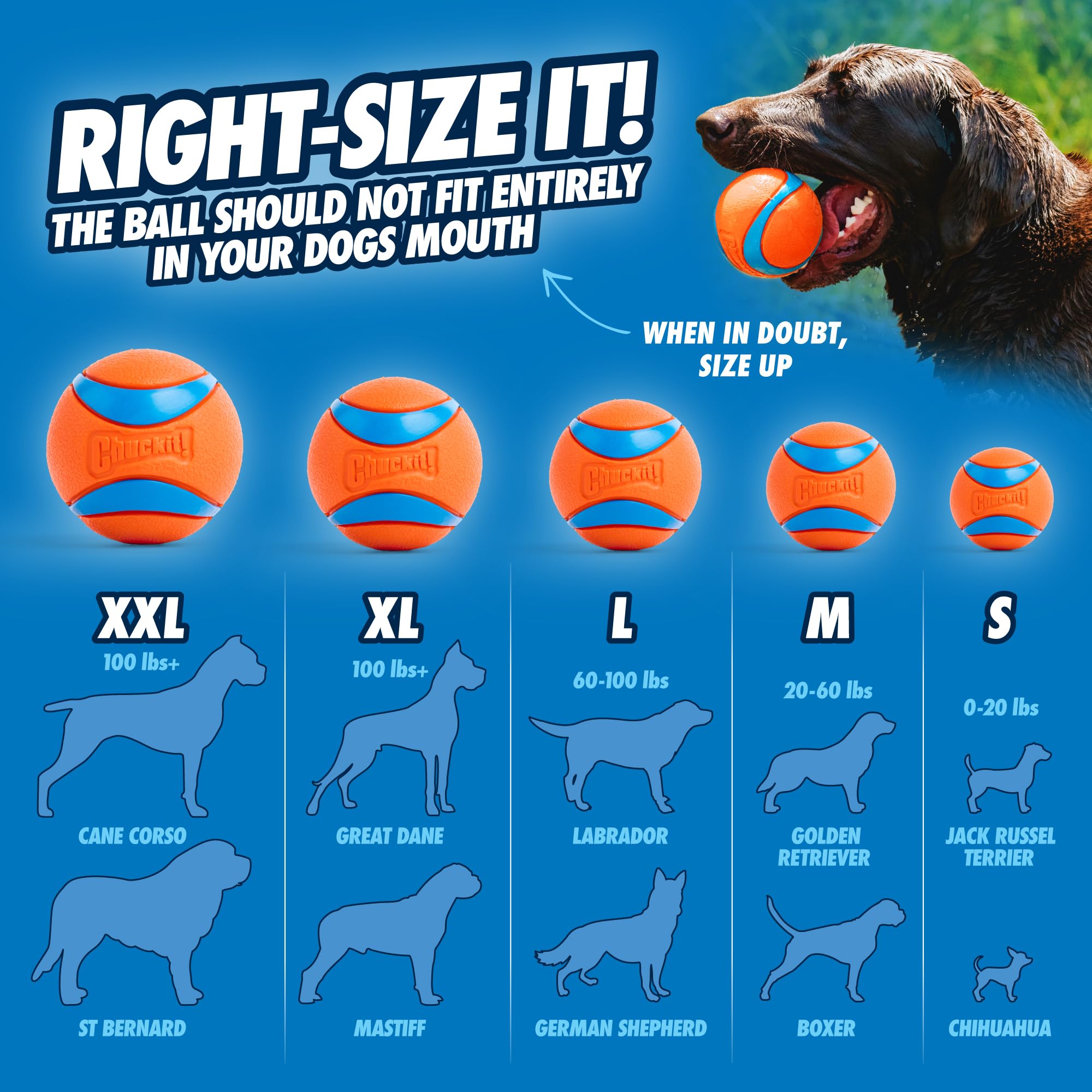 Chuckit! Sport Ball Launcher - 36cm Length | Ergonomic Rubber Grip | Includes Tennis Ball 5