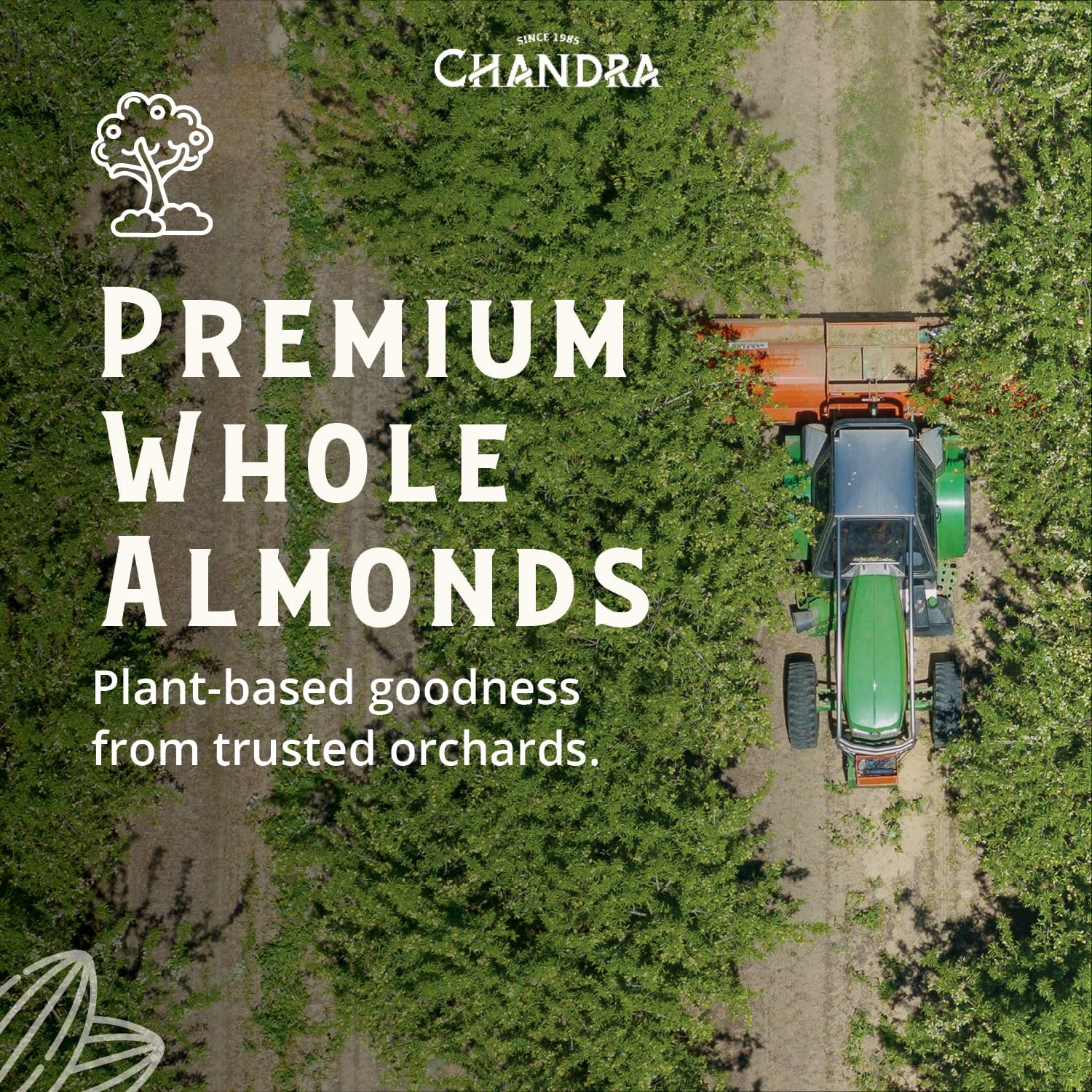 CHANDRA Whole Foods Raw Almonds - 1KG Pack | Gluten-Free, Vegan, Keto/Paleo Friendly 7