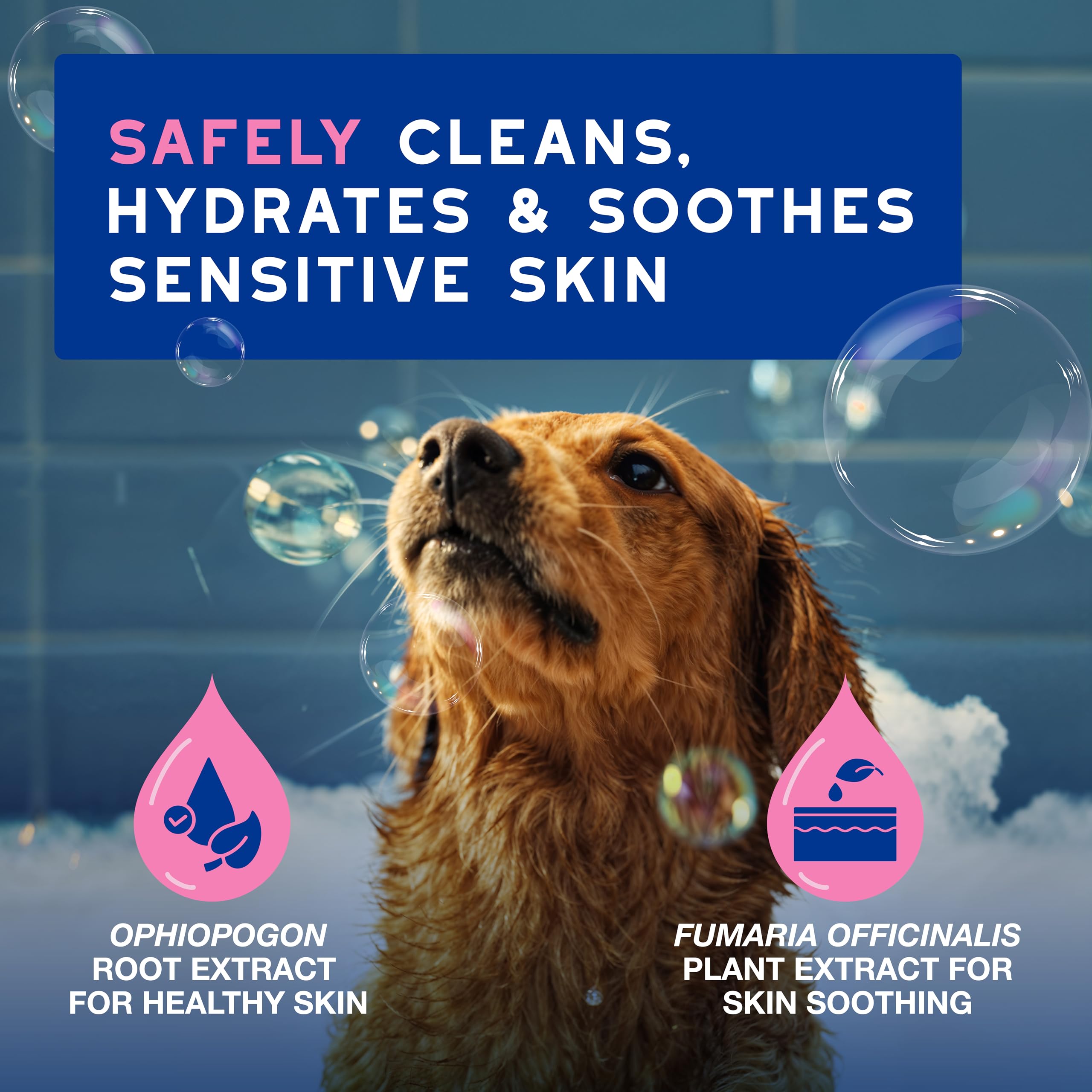 Douxo Skin & Coat SPA Soothing Dog Shampoo - 250 ml | Hydrating & pH Balanced