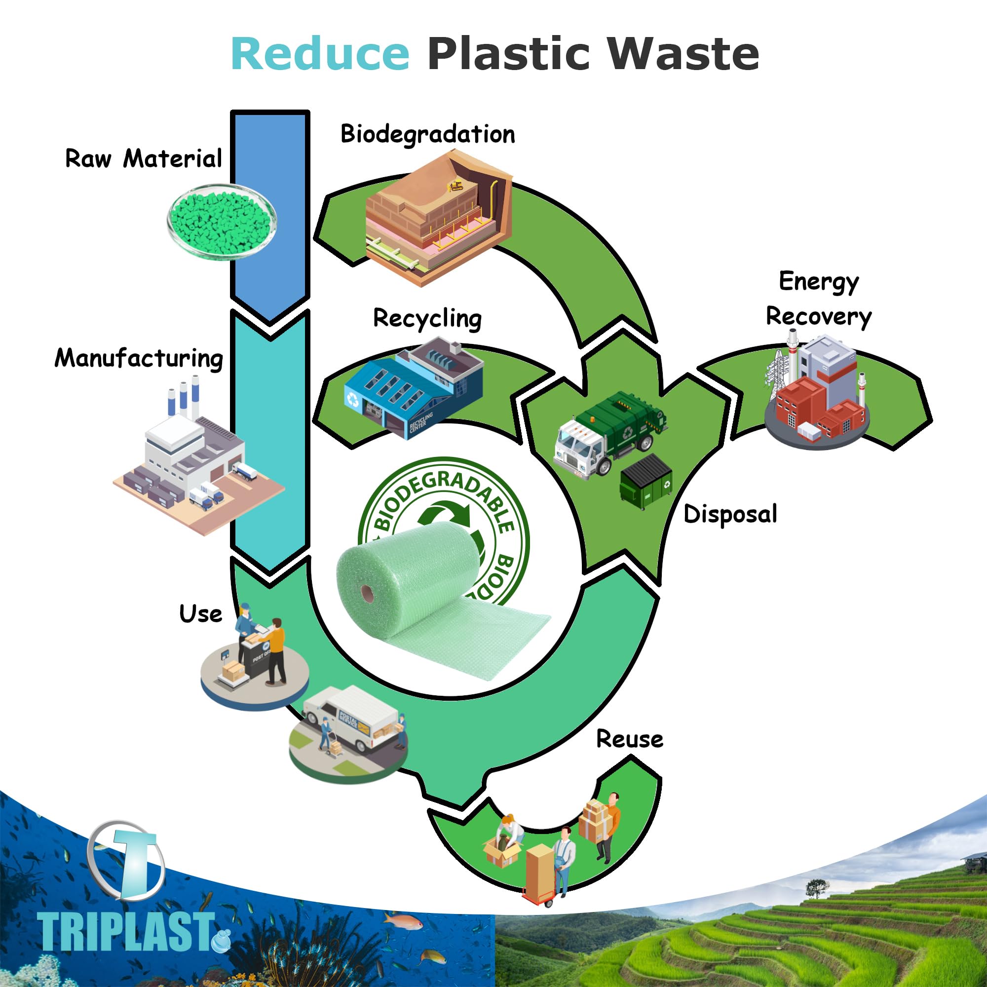 Triplast Biodegradable Green Bubble Wrap Roll - 400mm x 50m | Small 10mm Bubbles | Recyclable LDPE