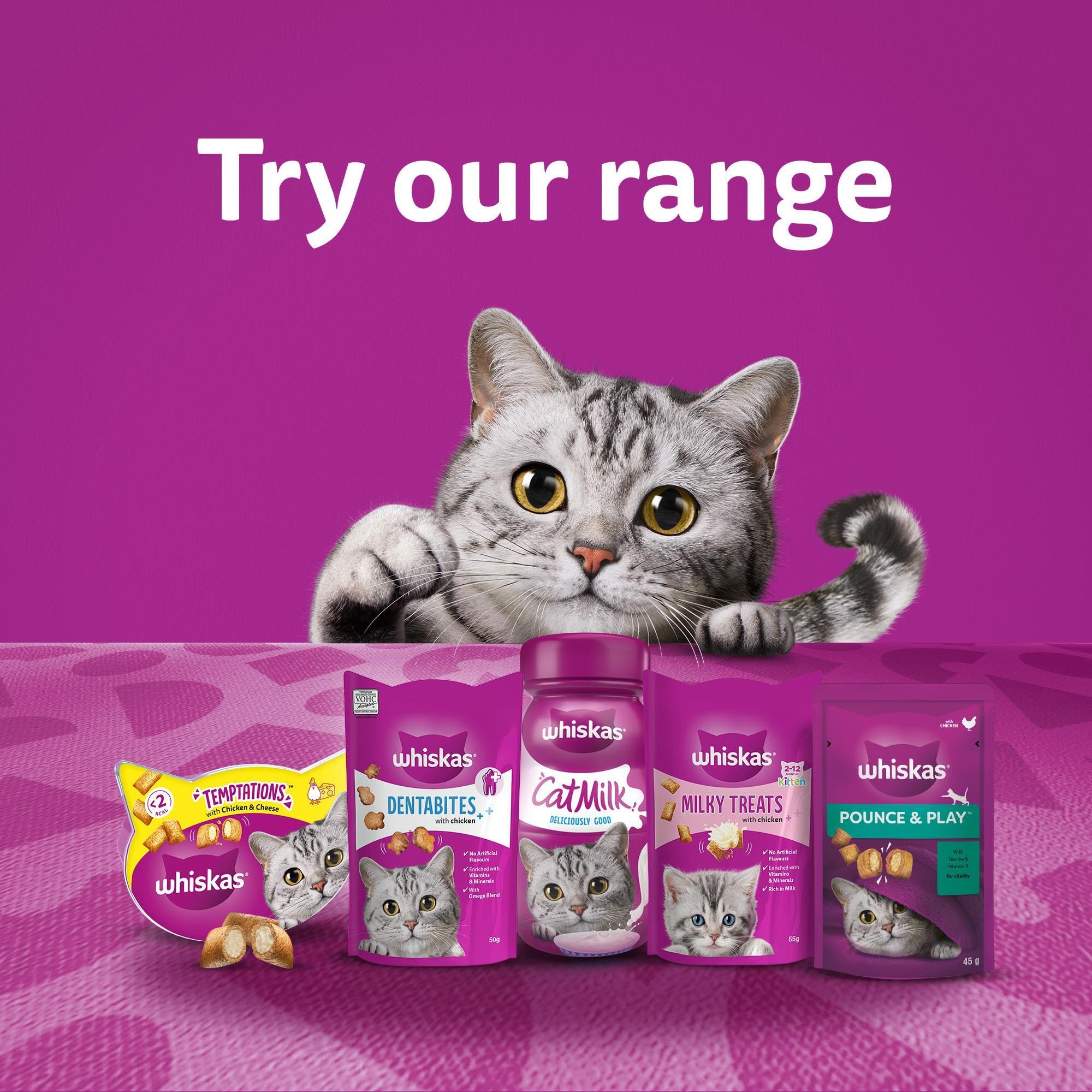Whiskas Dentabites Adult Cat Treats with Chicken - Helps Control Tartar | 120g (Pack of 4) 7