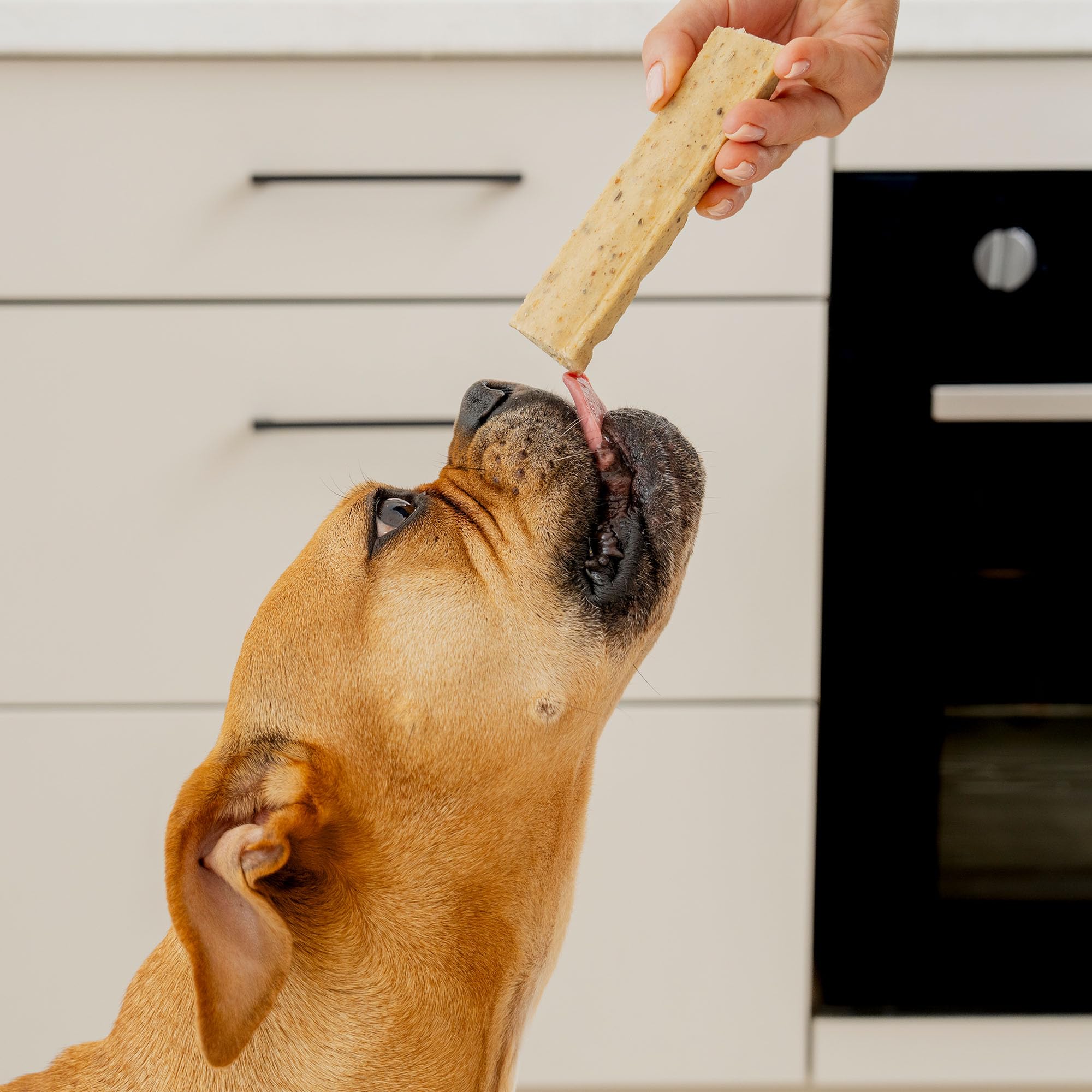 Pooch & Mutt Digestive Support Collagen Dog Chews | Beef Flavour | Adult All Breed 3