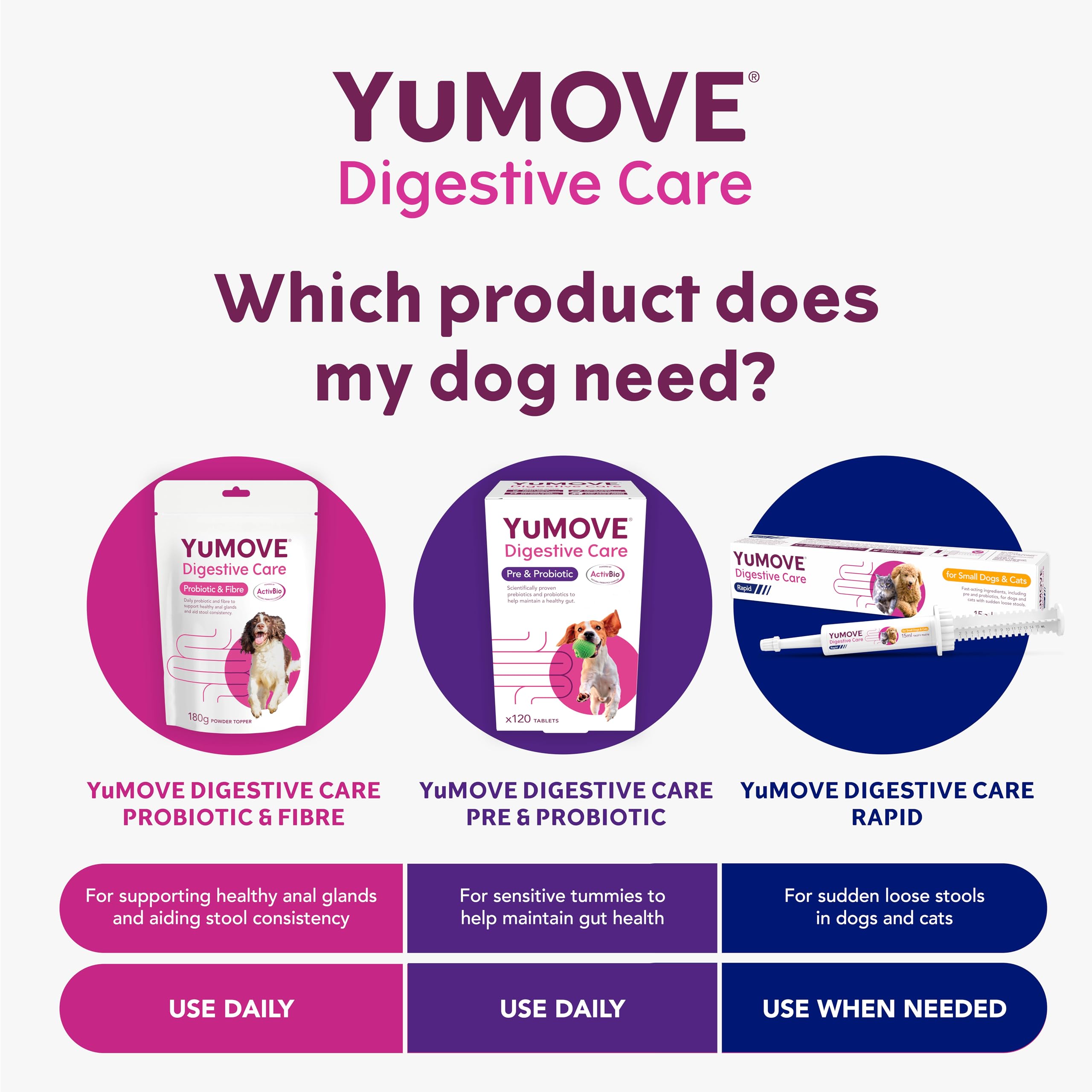 YuMOVE Digestive Care Rapid Probiotic Paste for Dogs & Cats - Fast-Acting Gut Support | 15ml 5