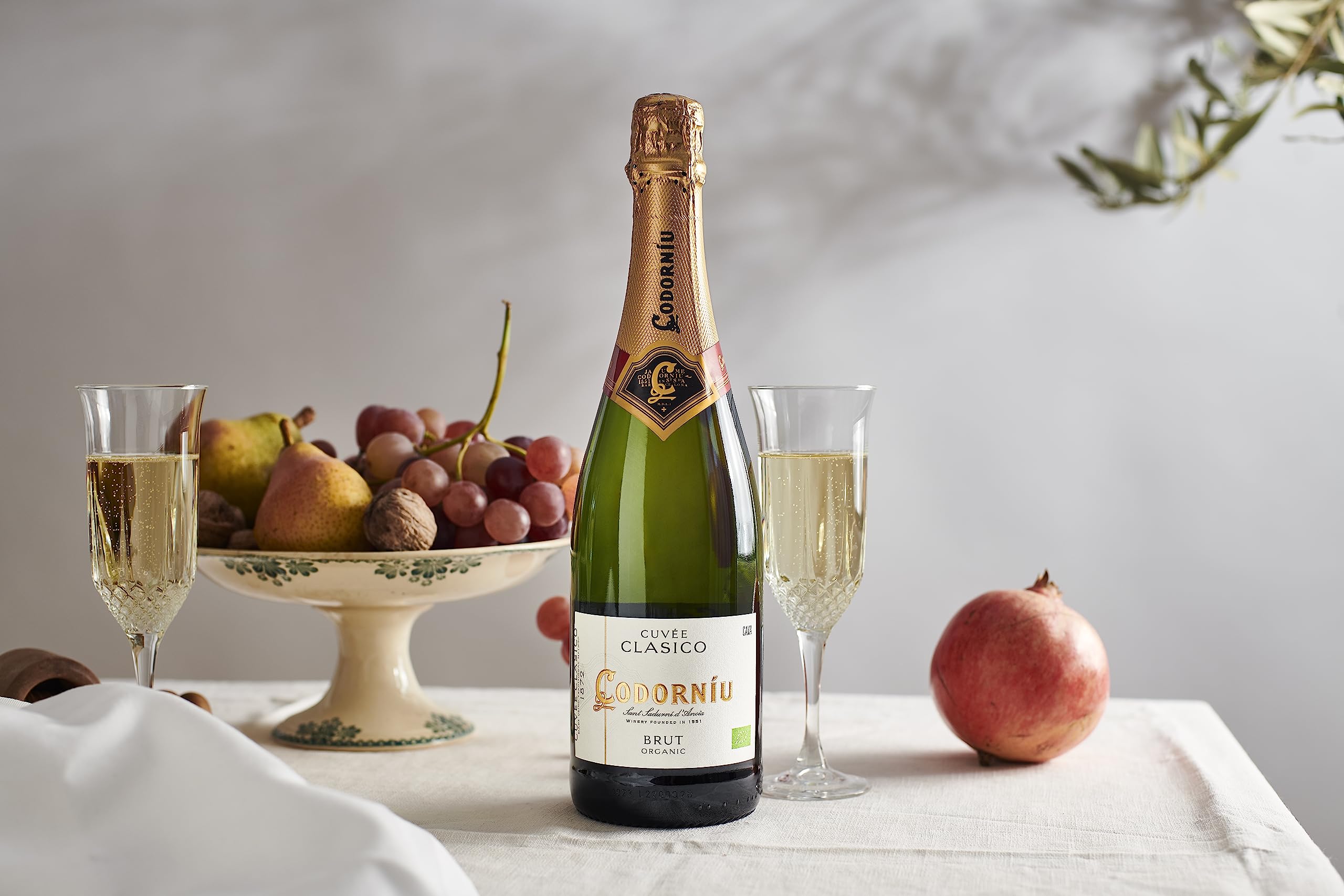 Anna De Codorniu Clasico Brut Cava White Sparkling Organic 75cl 2