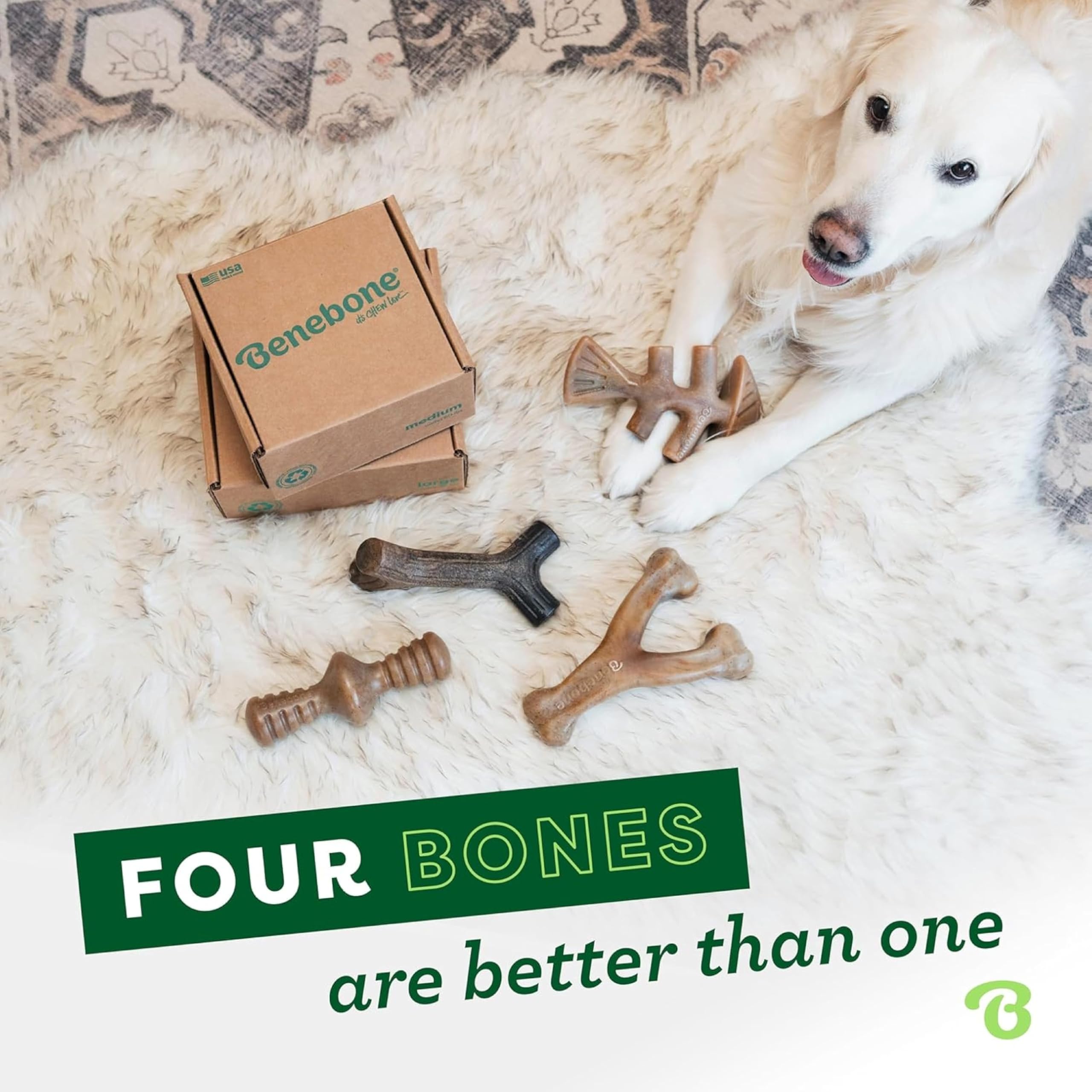 Benebone Holiday 4-Pack Durable Dog Chew Toys for Aggressive Chewers | Real Bacon, Salmon & Maple Flavors 5