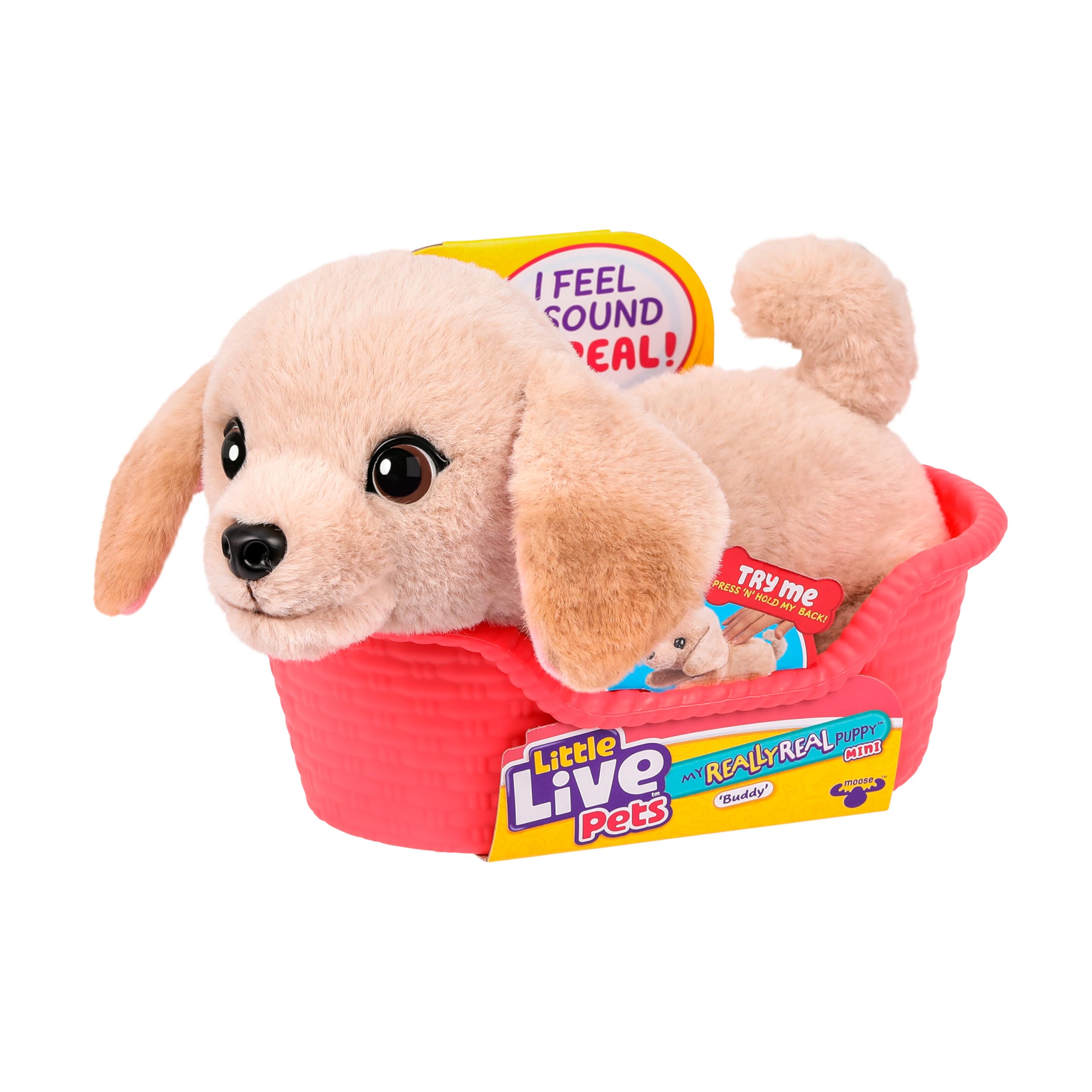 Little Live Pets My Really Real Puppy Minis - Buddy the Retriever Interactive Plush Toy | Mini Size 1