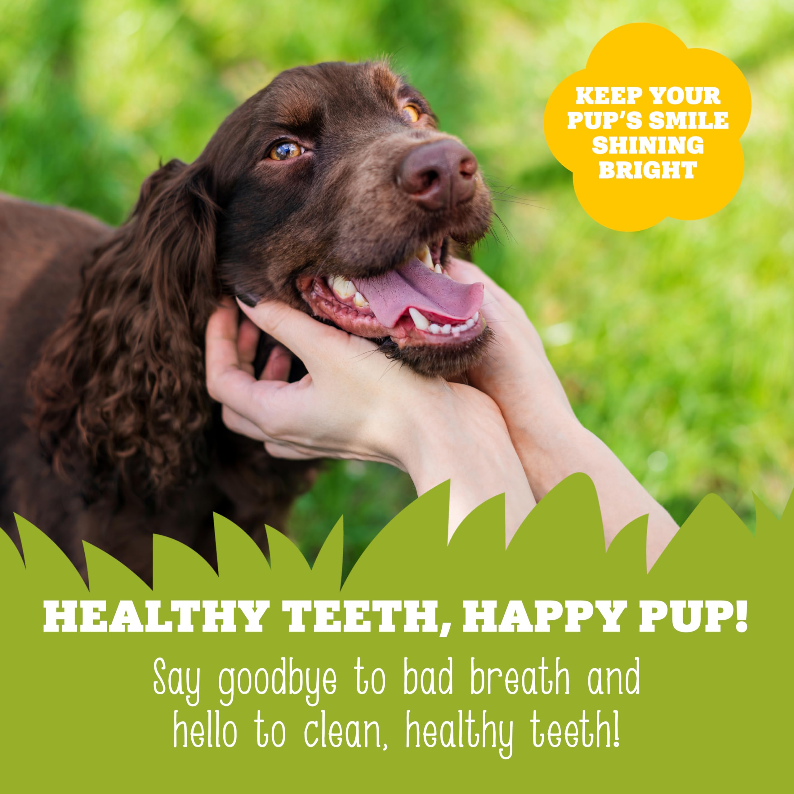 Soopa Grain Free Banana & Peanut Butter Dental Dog Treats - 4 Sticks | Low Fat 5